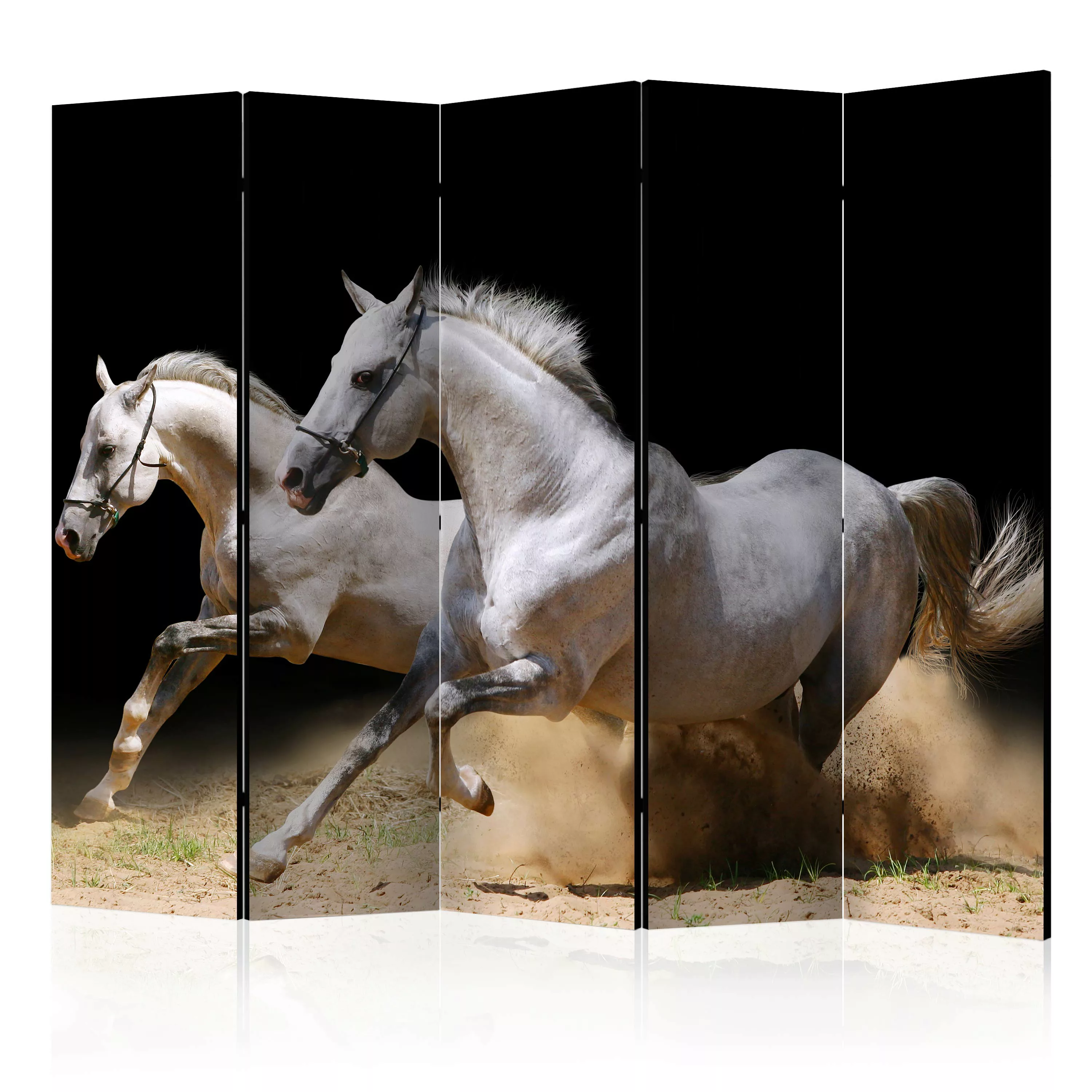 5-teiliges Paravent - Galloping Horses On The Sand Ii [room Dividers] günstig online kaufen