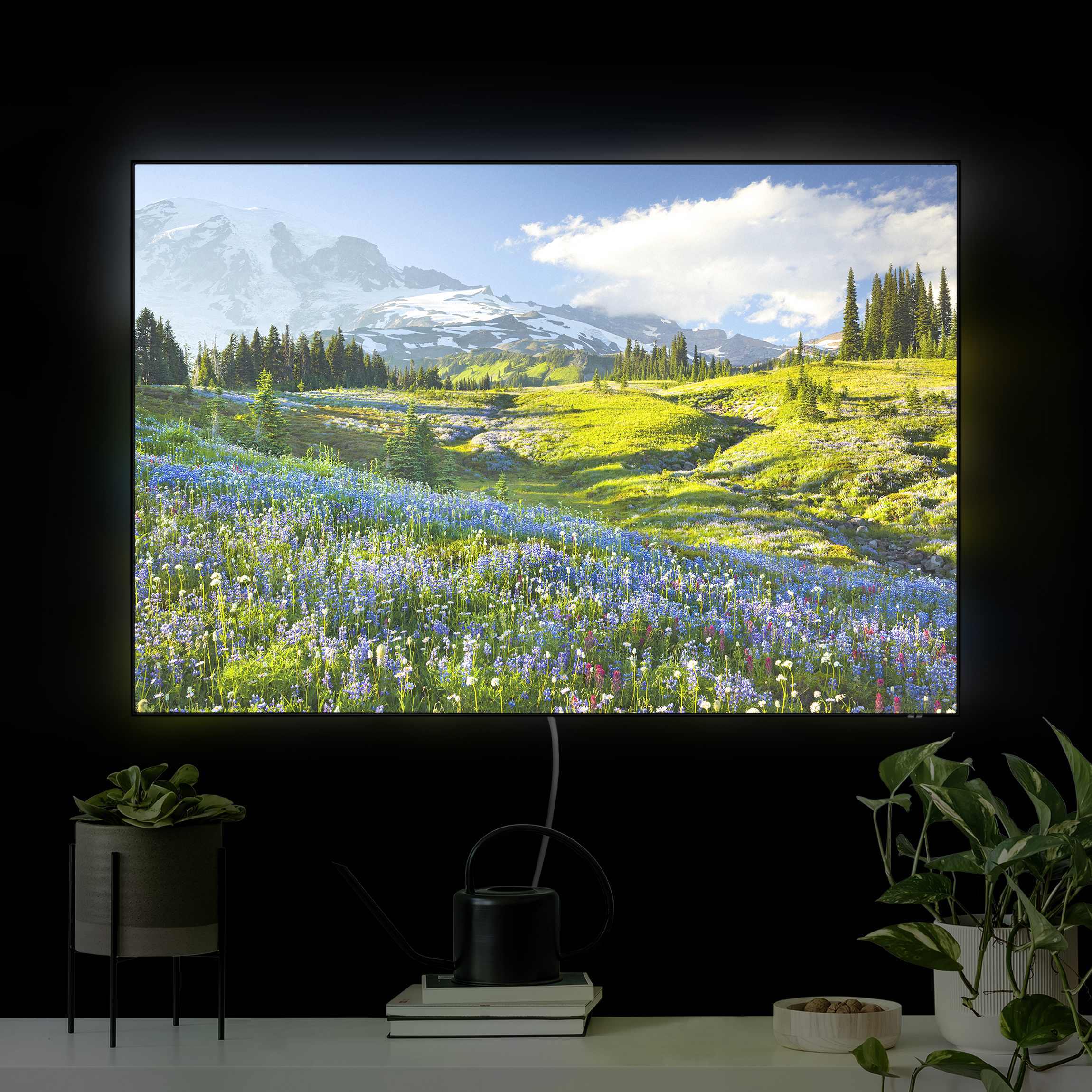 LED-Wechselbild Bergwiese mit blauen Blumen vor Mt. Rainier günstig online kaufen