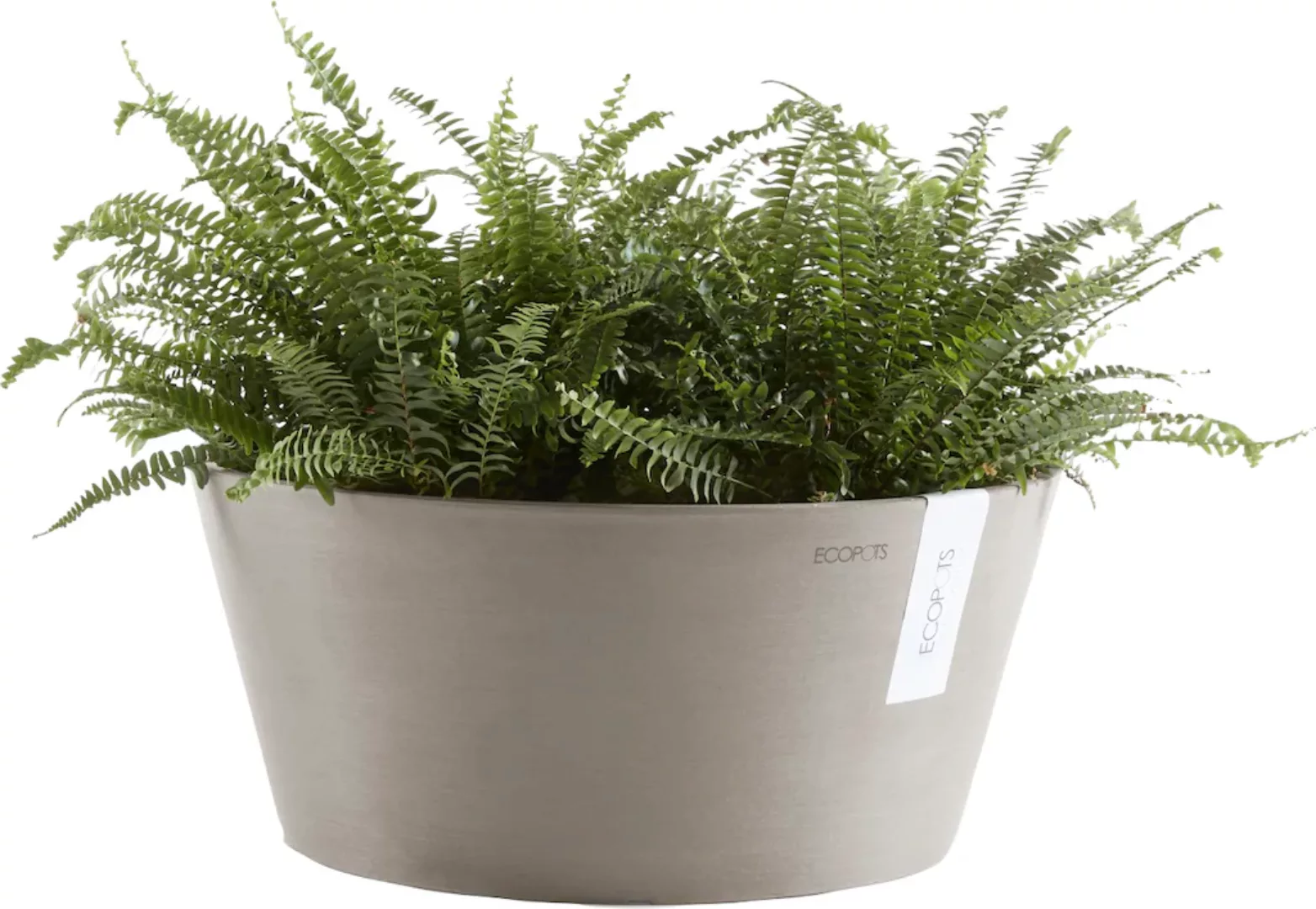 Ecopots Pflanzschale Frankfurt Braungrau 30 cm günstig online kaufen