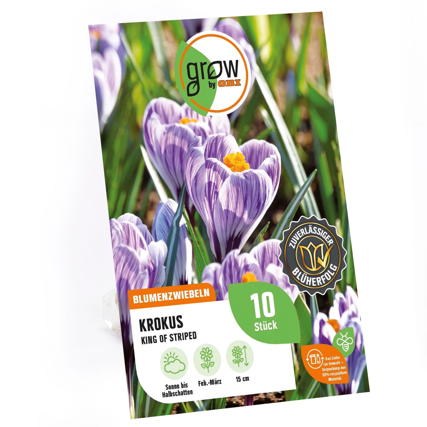 GROW by OBI Krokus King of the Striped Blau Gestreift 15 cm Crocus vernus günstig online kaufen