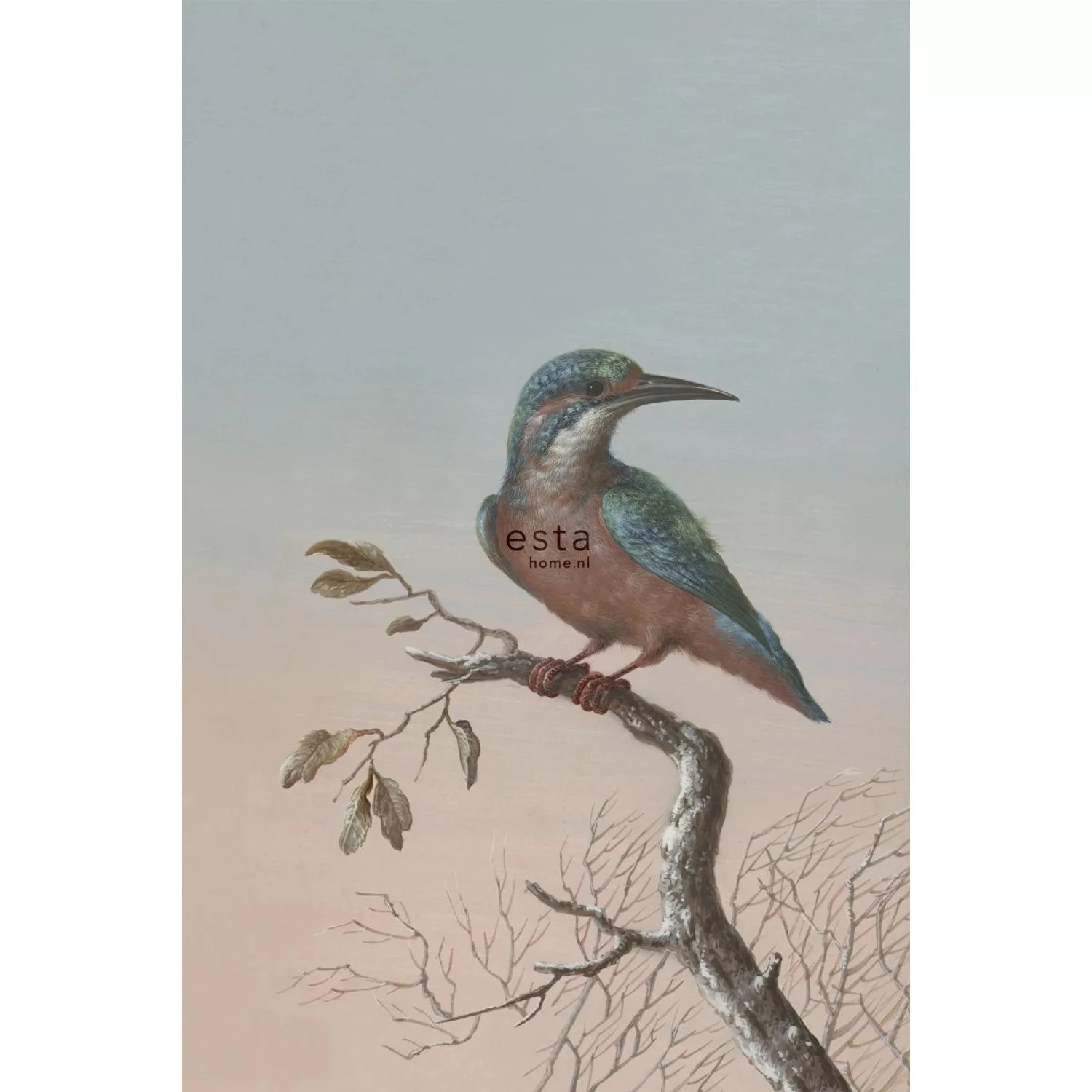 ESTAhome Fototapete Eisvogel Auf Zweig Abendrot 1,86 x 2,79 m 158888 günstig online kaufen