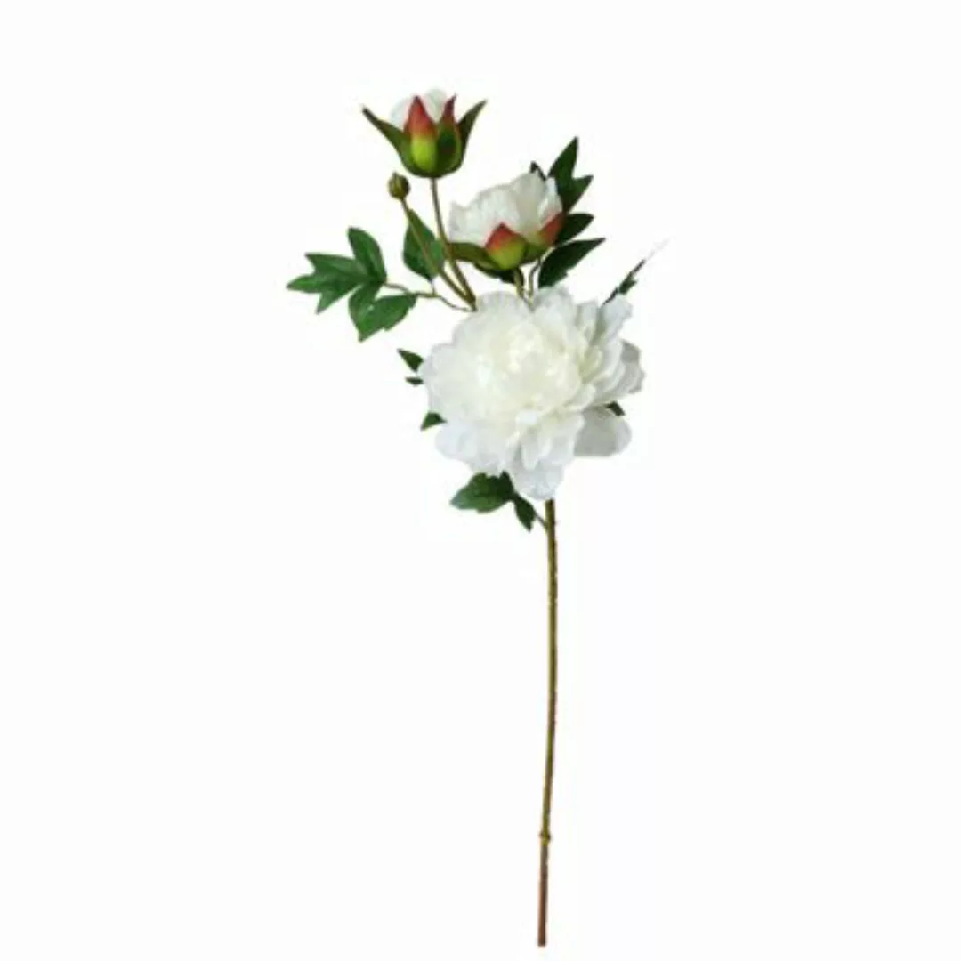 HTI-Living Pfingstrose Weiß 74 cm Kunstblume Flora weiß günstig online kaufen