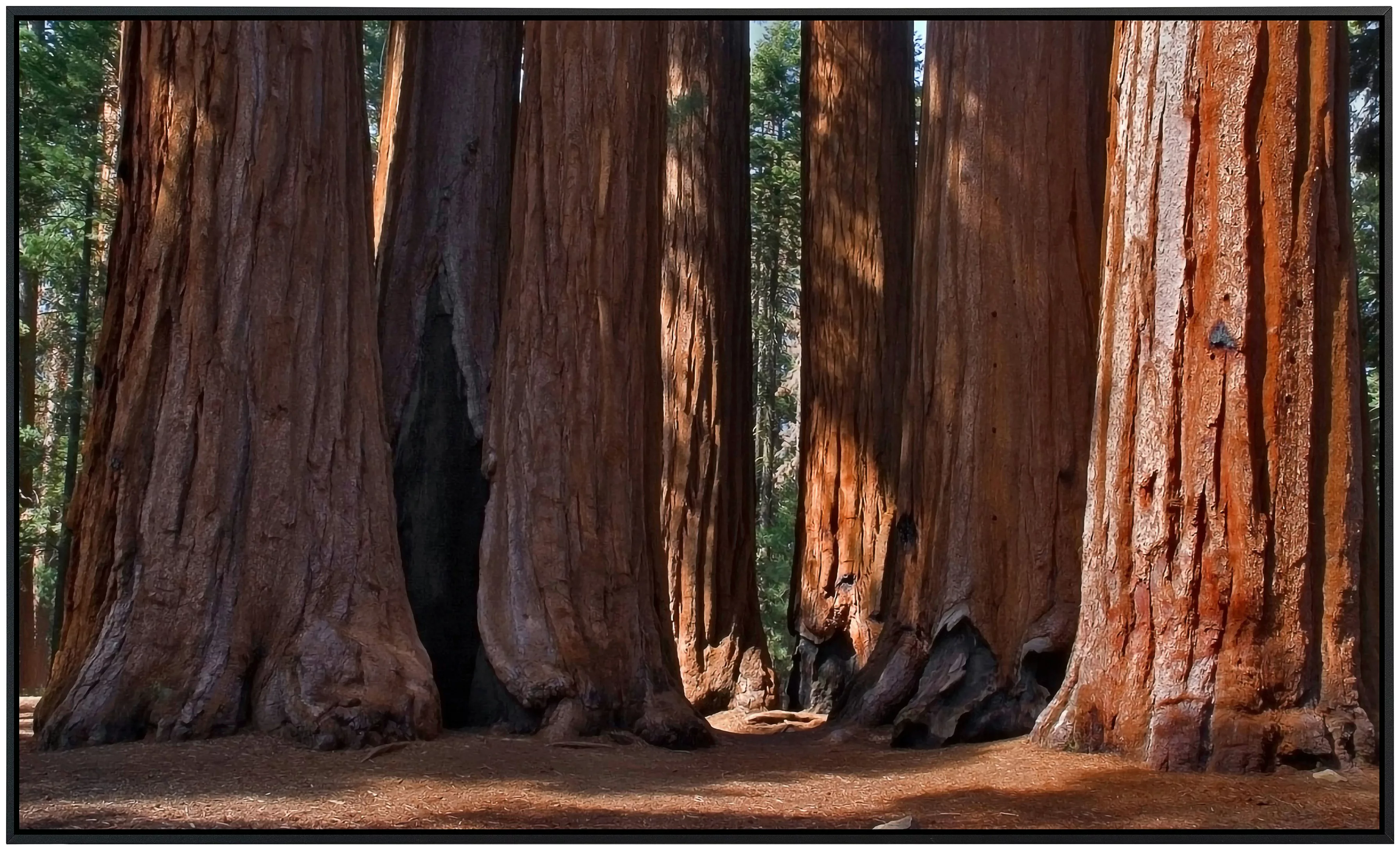 Papermoon Infrarotheizung »Große Bäume«, sehr angenehme Strahlungswärme günstig online kaufen