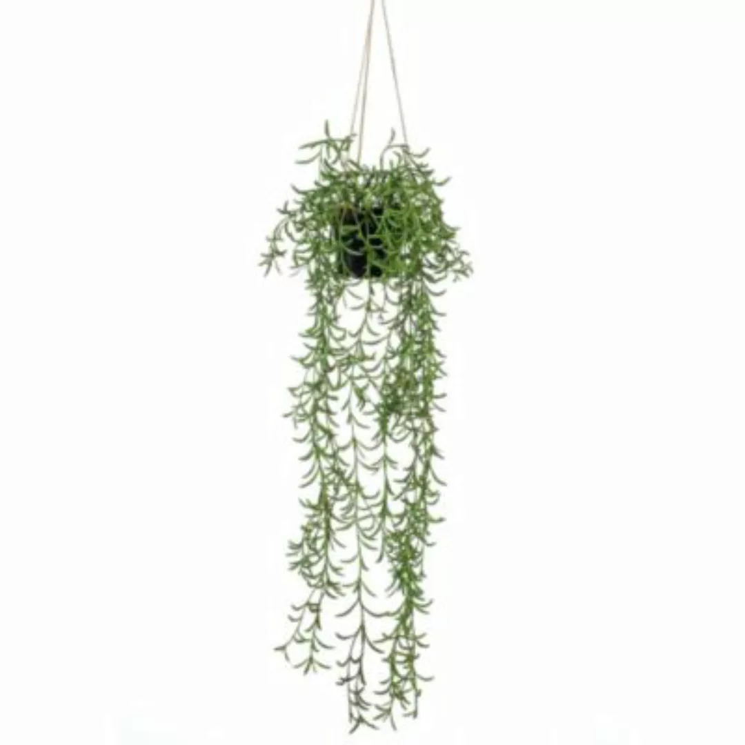 Emerald Kunstpflanze Senecio Hängend im Topf 70 cm künstliche Pflanze grün günstig online kaufen