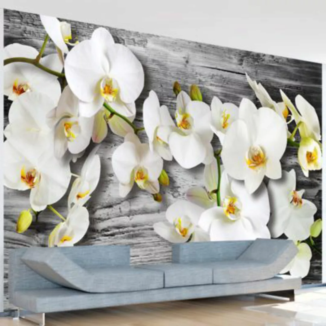 artgeist Fototapete Callous orchids III mehrfarbig Gr. 150 x 105 günstig online kaufen