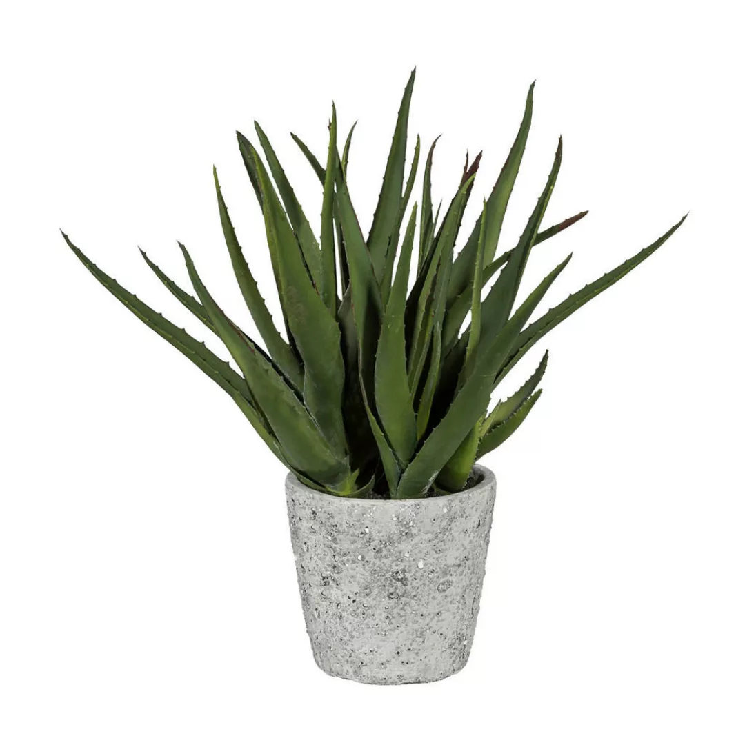 Kunstpflanze Aloe grün Kunststoff B/H/L: ca. 17x55x17 cm günstig online kaufen