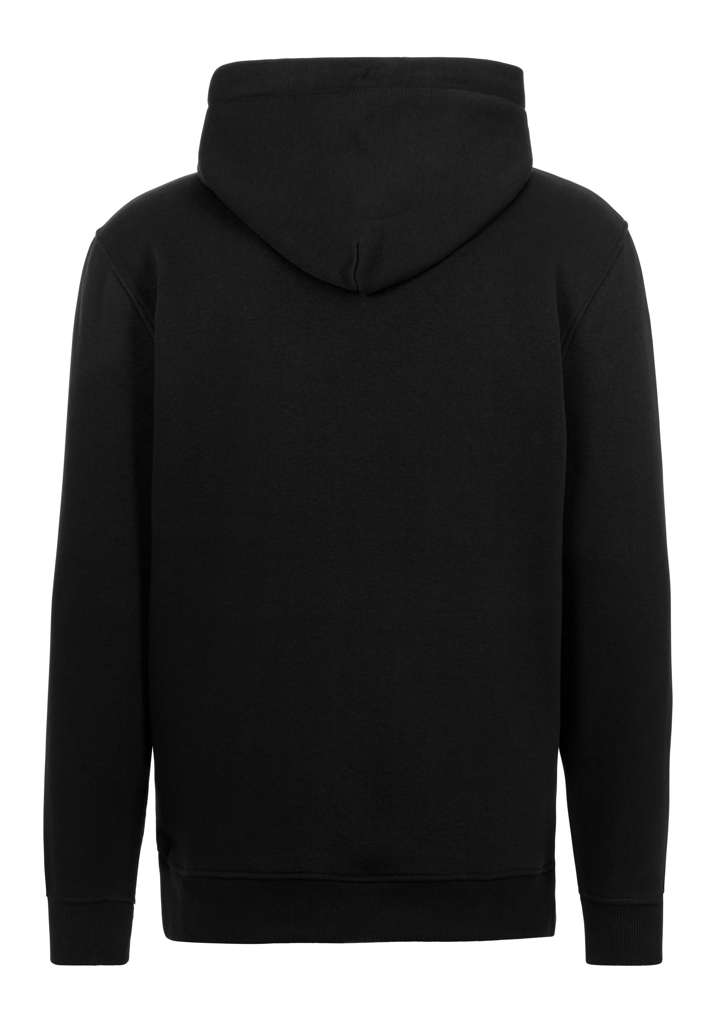 Tommy Jeans Hoodie "TJM REG LINEAR LOGO HOODIE EXT", mit Logo-Stickerei günstig online kaufen