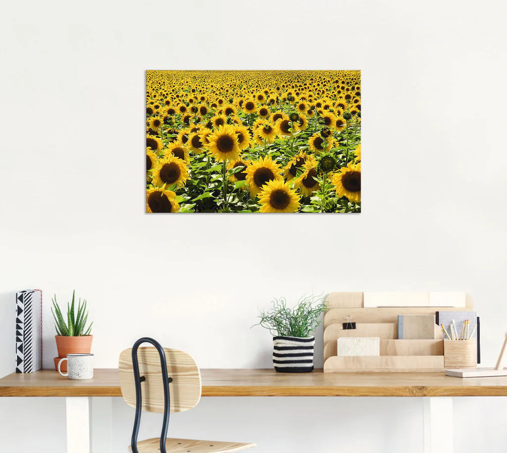 Artland Wandbild "Sonnenblumenfeld", Blumen, (1 St.), als Alubild, Outdoorb günstig online kaufen