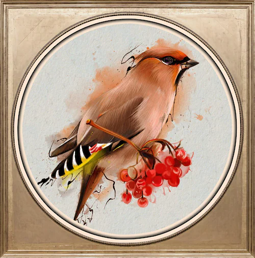 queence Acrylglasbild »Bunter Vogel I« günstig online kaufen