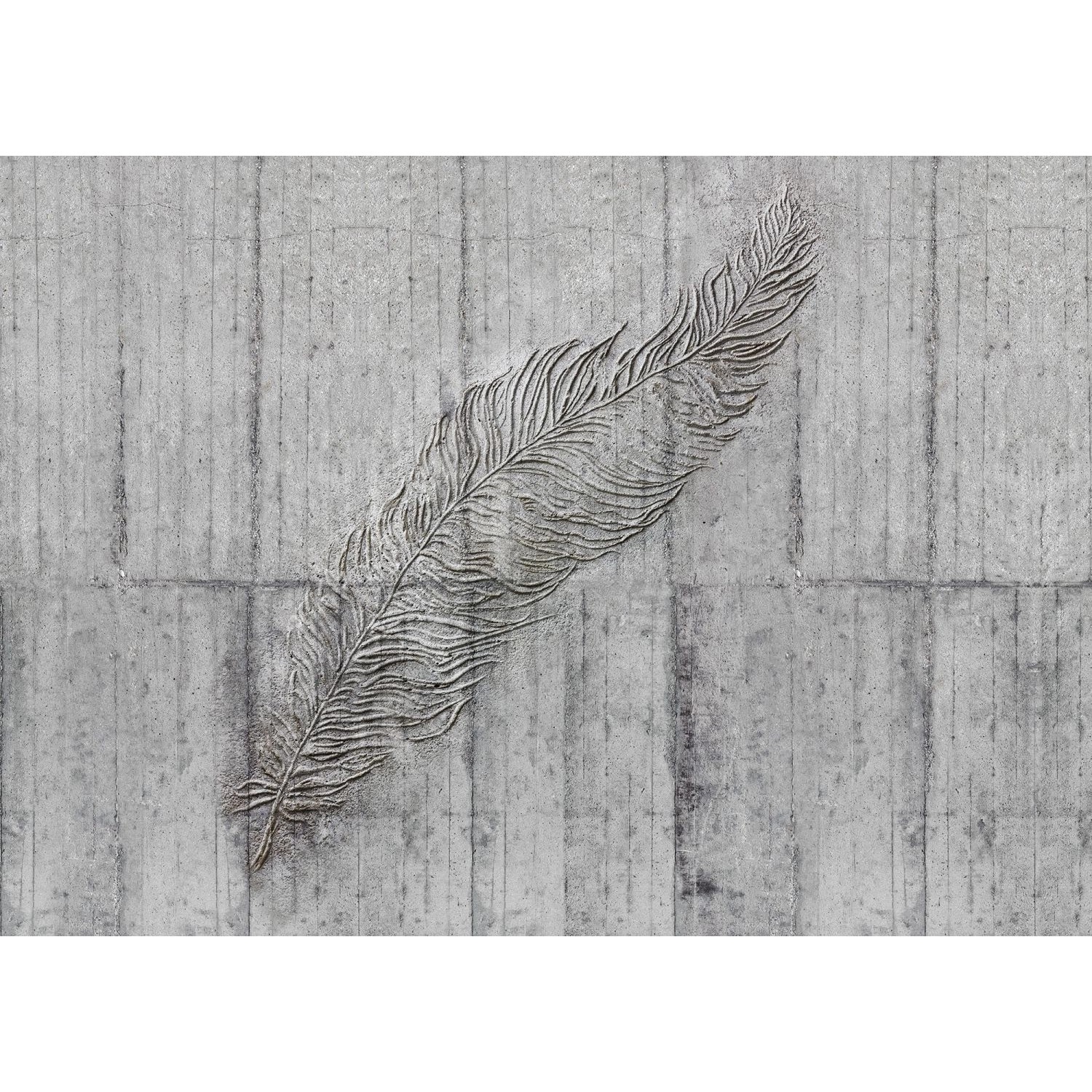 Komar Fototapete Concrete Feather Grau 350 x 250 cm 611642 günstig online kaufen