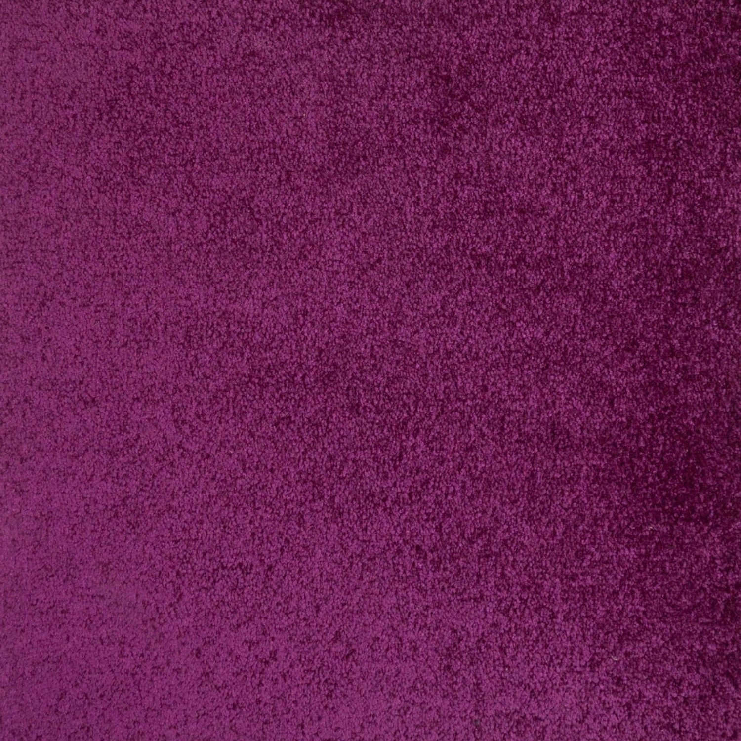 Schatex Velours Teppichfliesen Weich Velour Teppichfliesen In Violett 50x50 günstig online kaufen