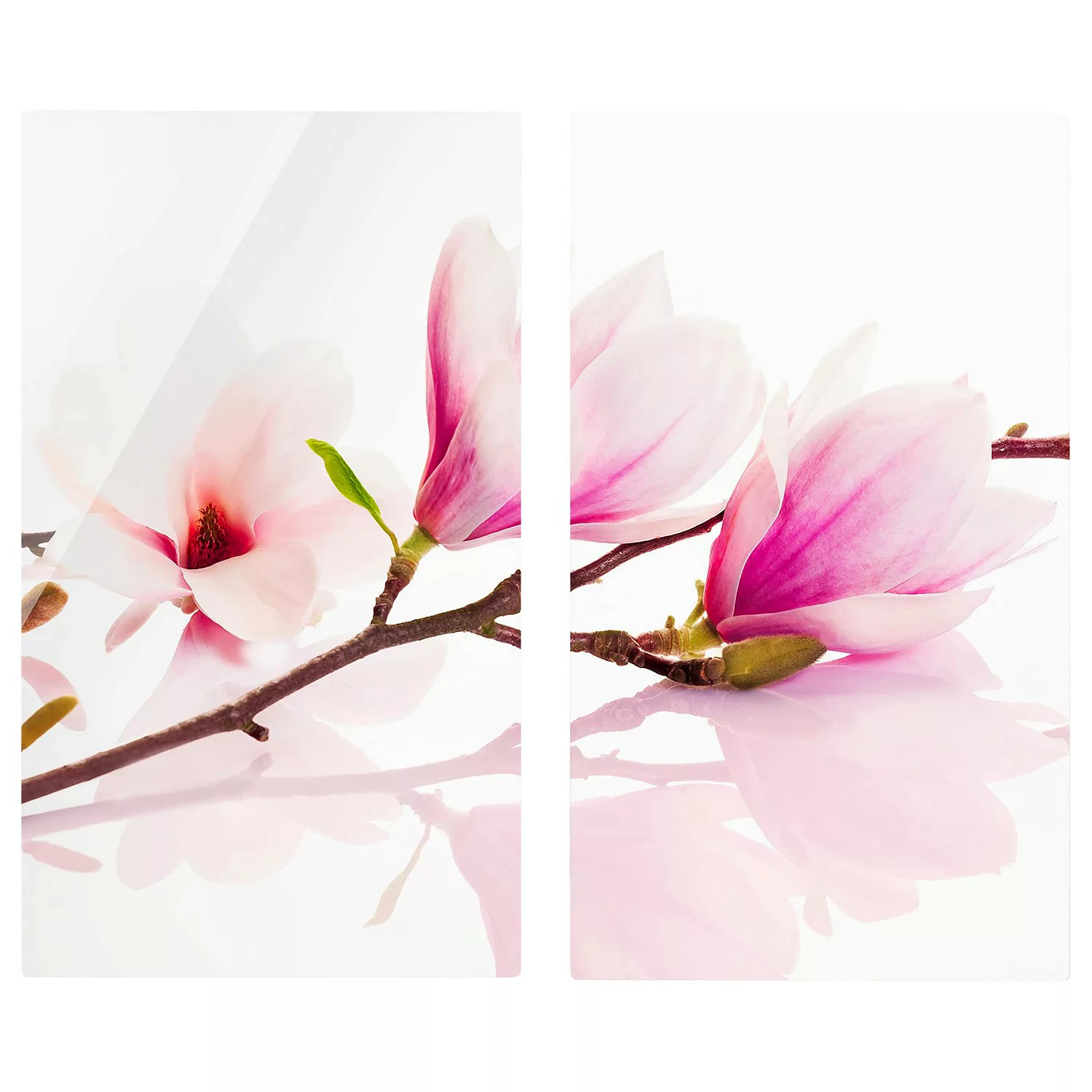 2-teilige Herdabdeckplatte Glas Blumen Zarter Magnolienzweig günstig online kaufen