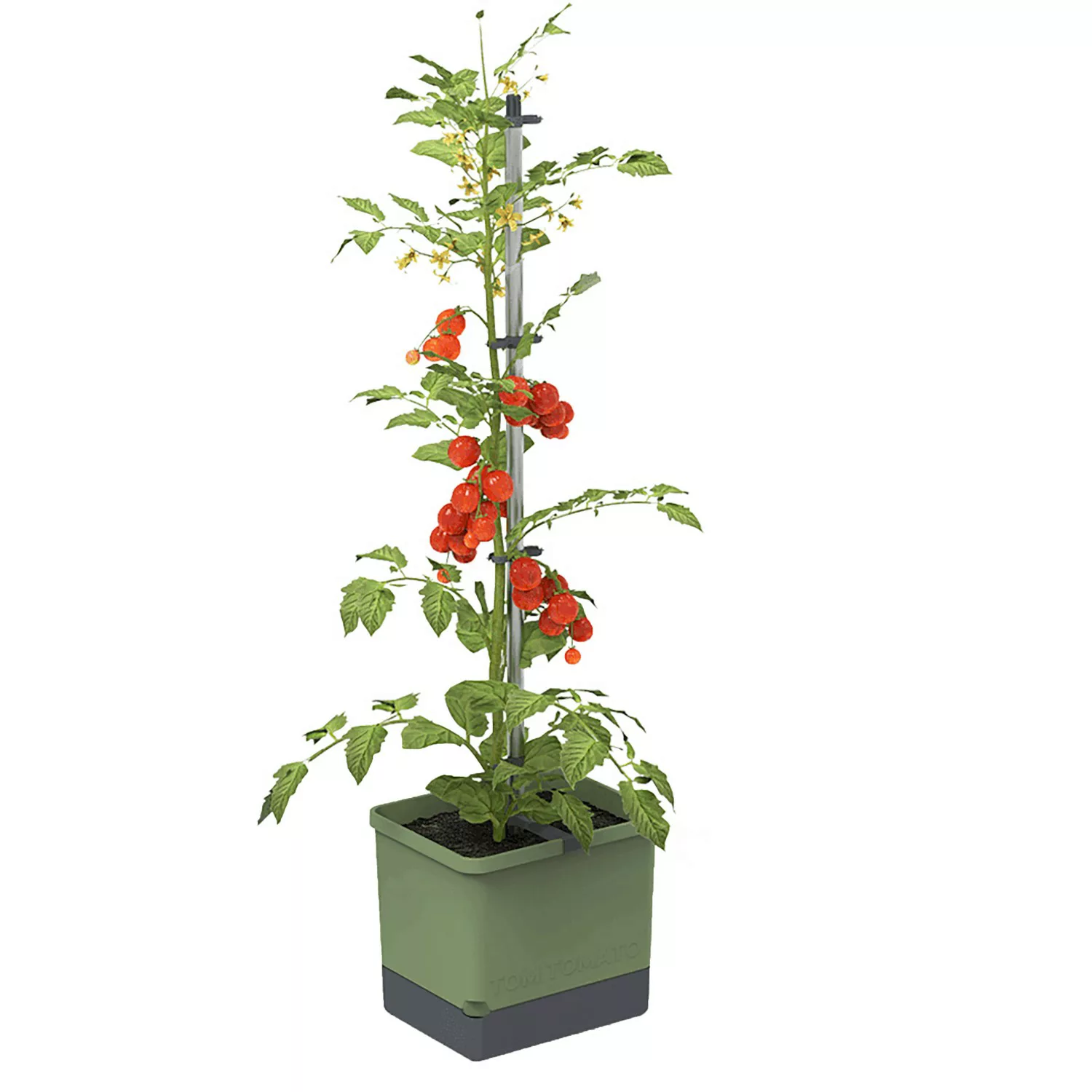 Gusta Garden Tom Tomato Tomatentopf dunkelgrün günstig online kaufen