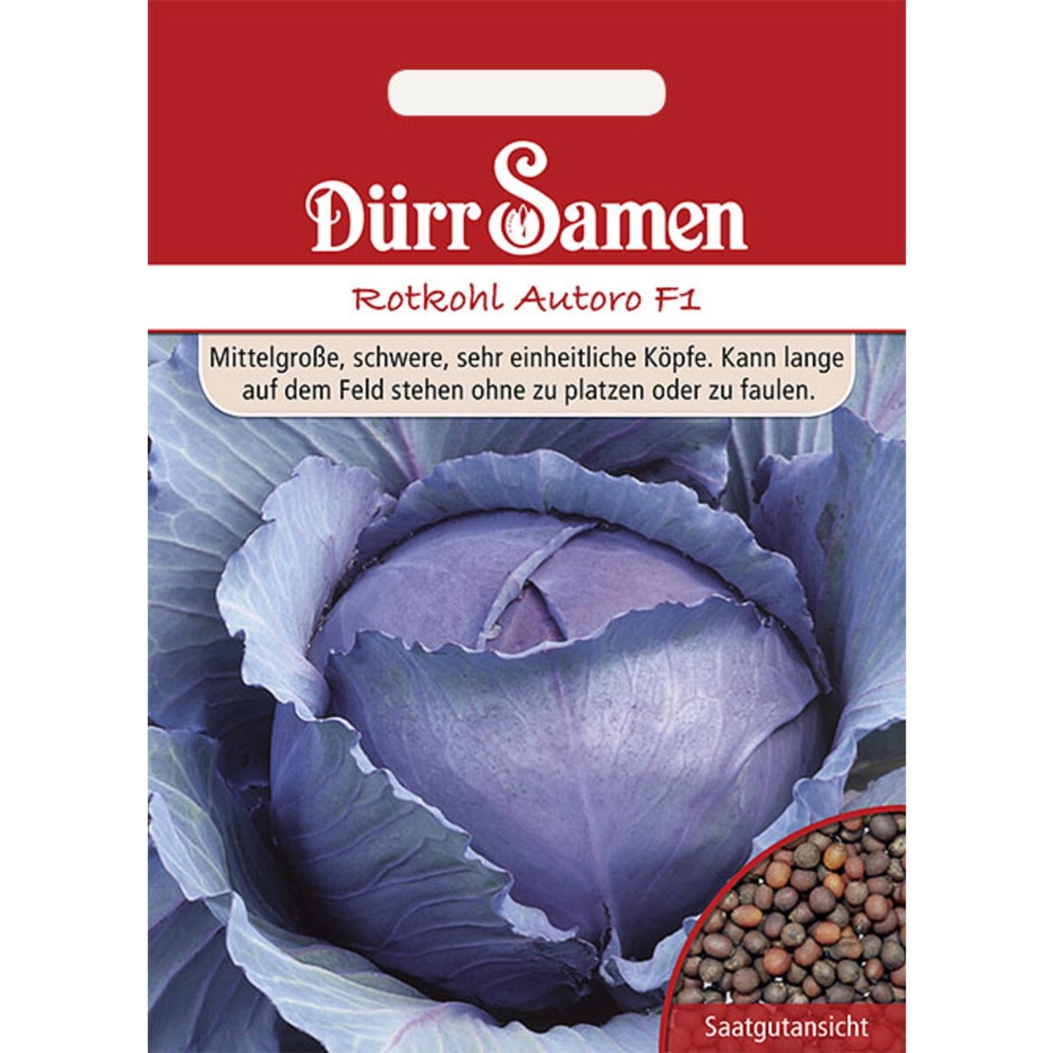 Dürr Samen Rotkohl Autoro F1 Saatgut günstig online kaufen