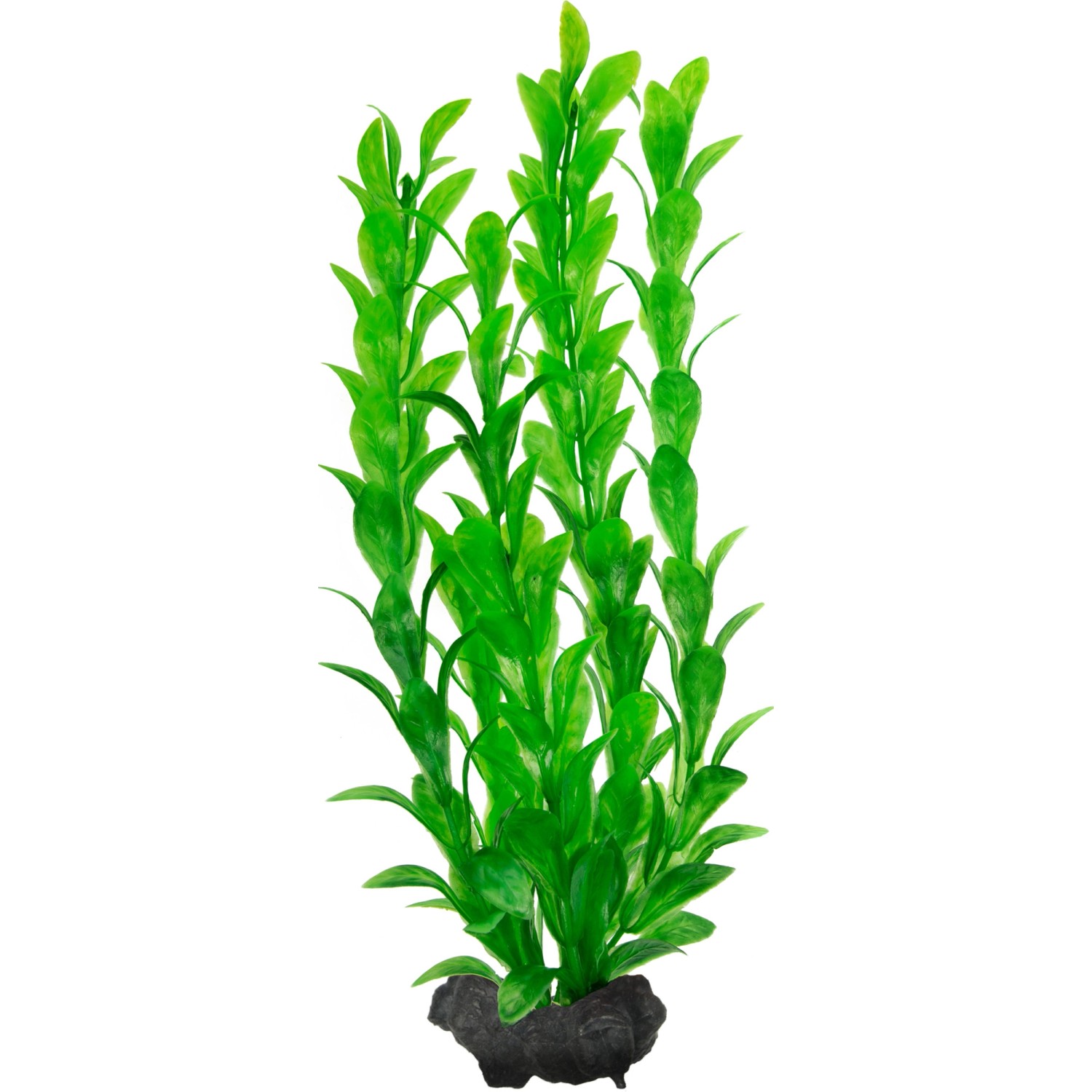 Tetra Kunstpflanze DecoArt Plant M Hygrophila günstig online kaufen
