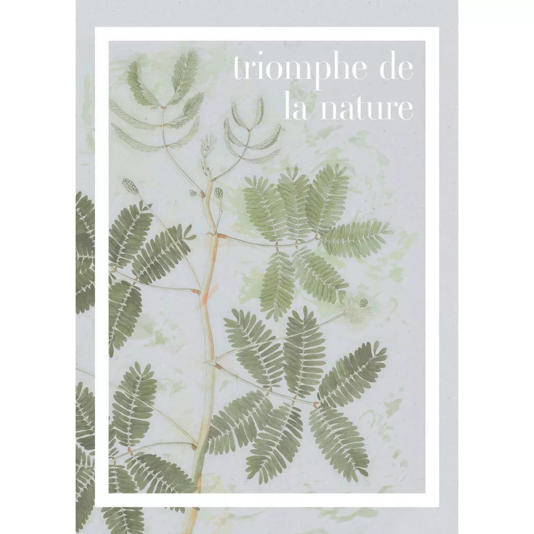 Komar Wandbild Triomphe de la nature Spruch B/L: ca. 50x70 cm günstig online kaufen