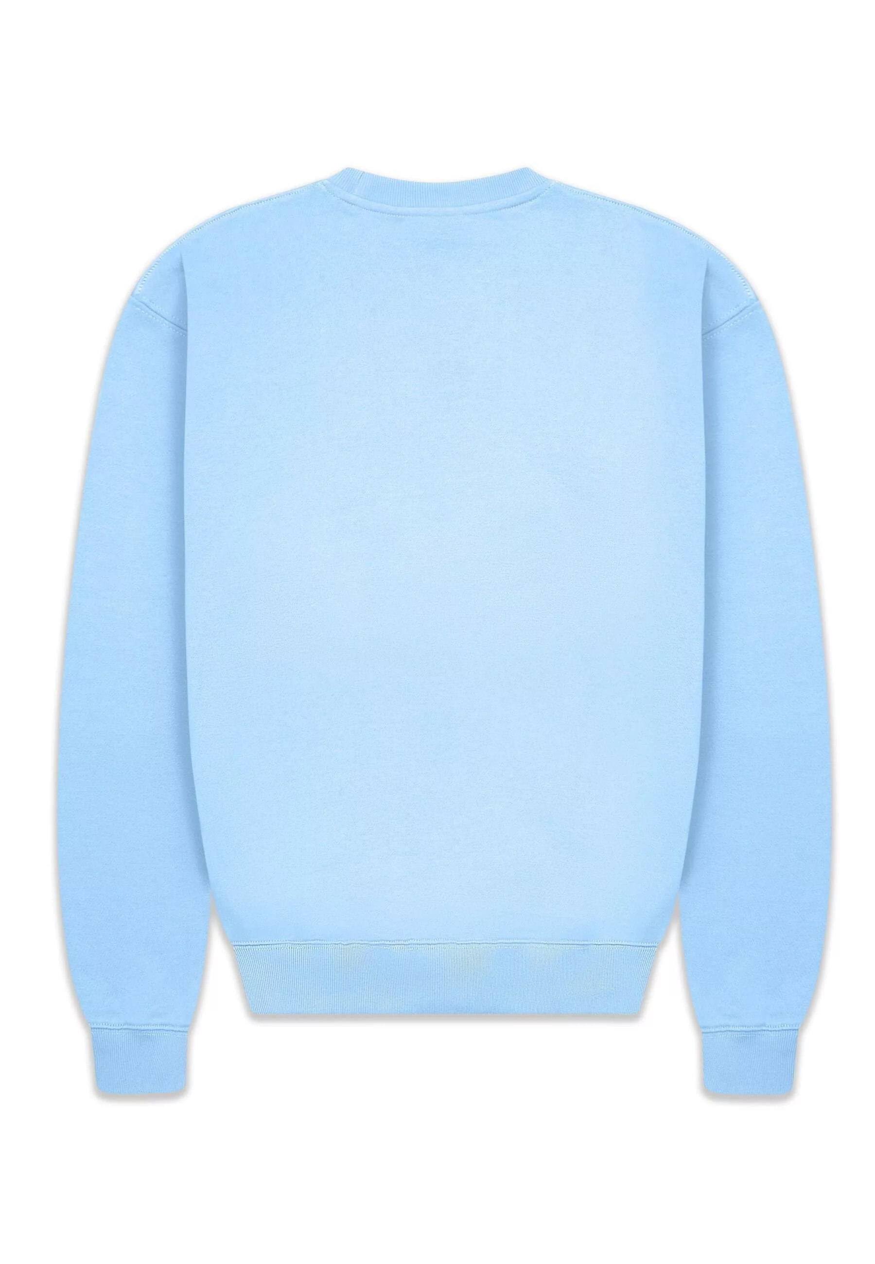 Dropsize Rundhalspullover "Dropsize Herren Super Heavy Blank Sweater", (1 t günstig online kaufen