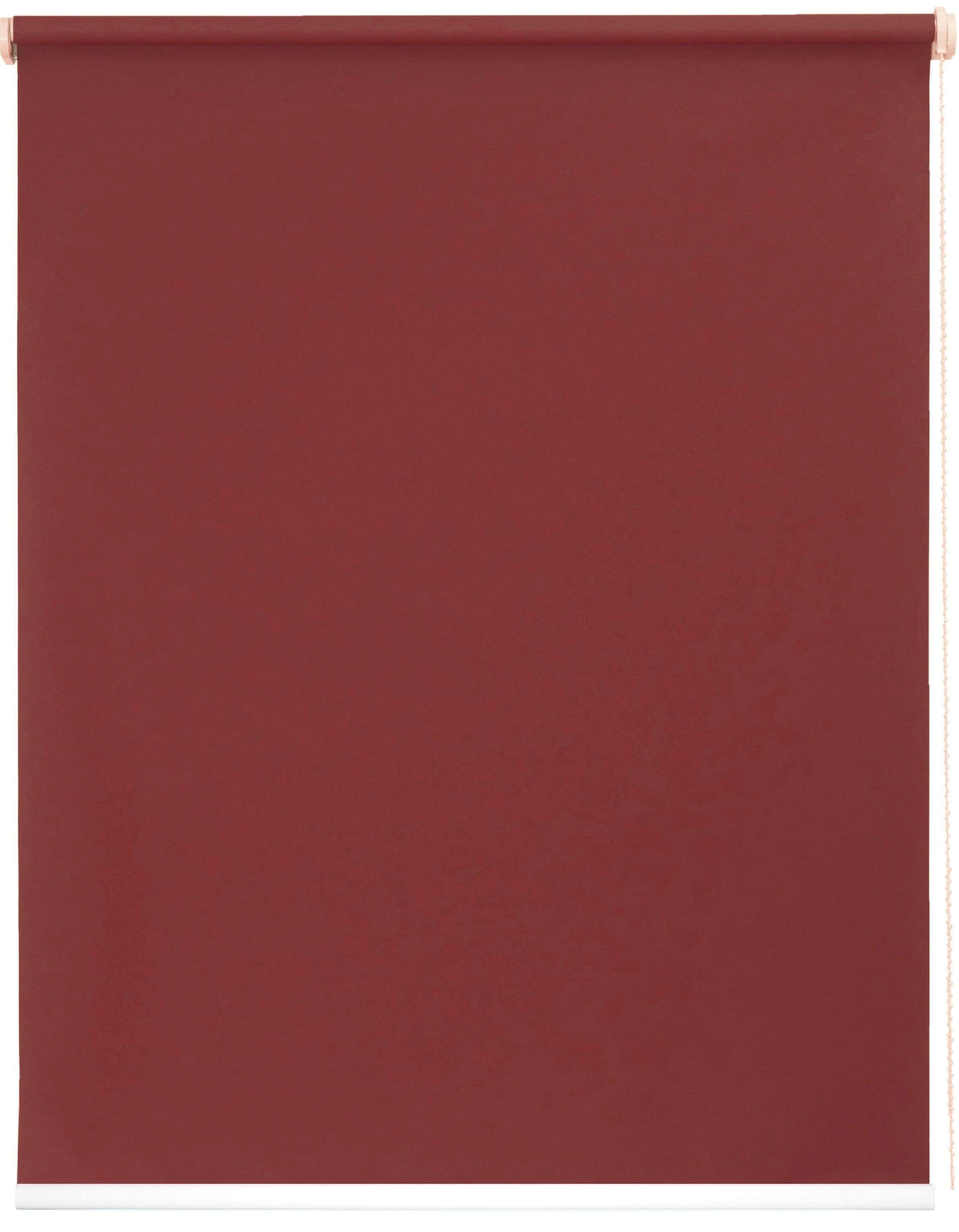sunlines Seitenzugrollo »One size Style uni«, Lichtschutz, ohne Bohren, fre günstig online kaufen