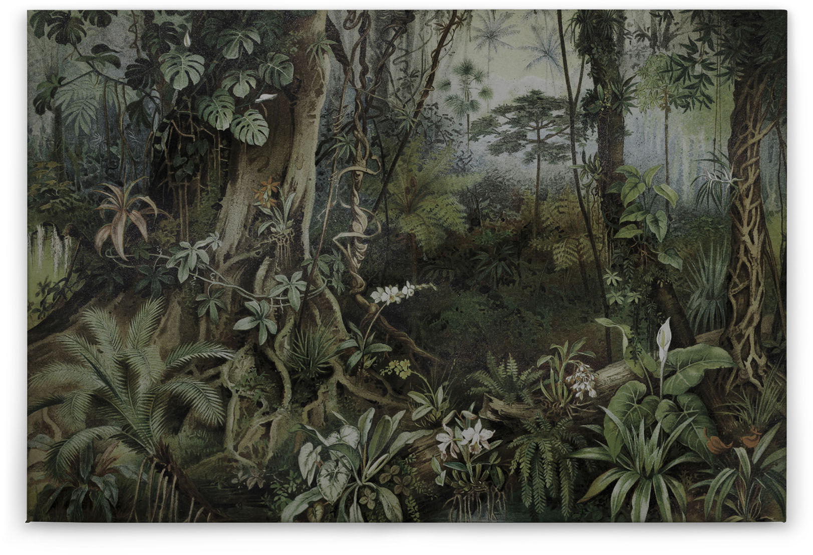 A.S. Création Leinwandbild "jungle", Kunst-Gemälde-Kinder, (1 St.), Keilrah günstig online kaufen