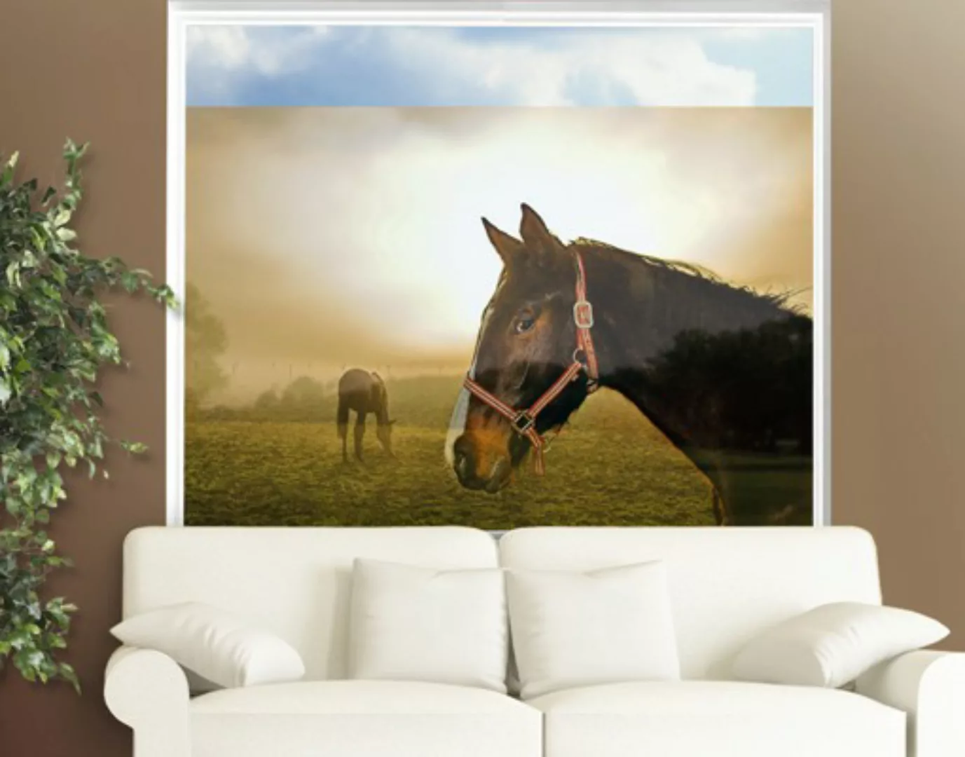 Fensterfolie Early Horse günstig online kaufen