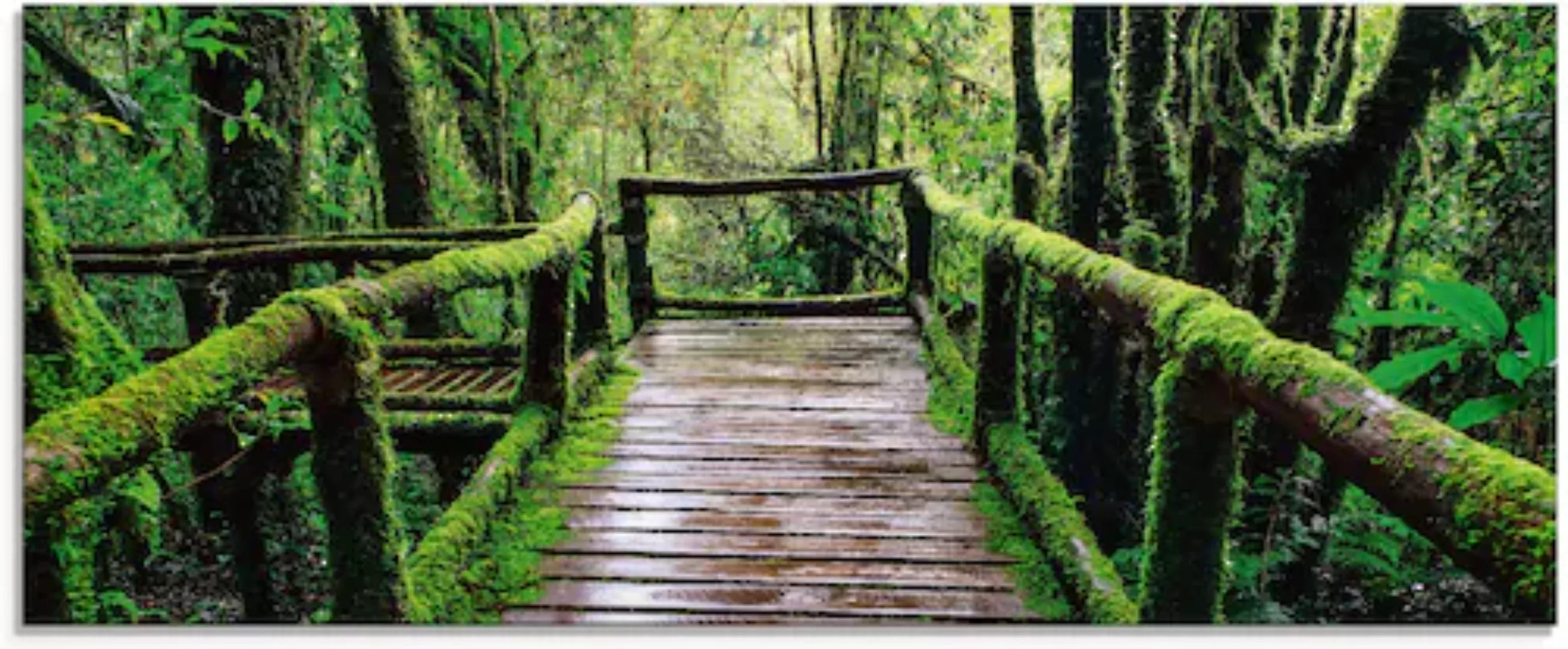 Artland Glasbild »Brückenpfad im Wald«, Asien, (1 St.), in verschiedenen Gr günstig online kaufen