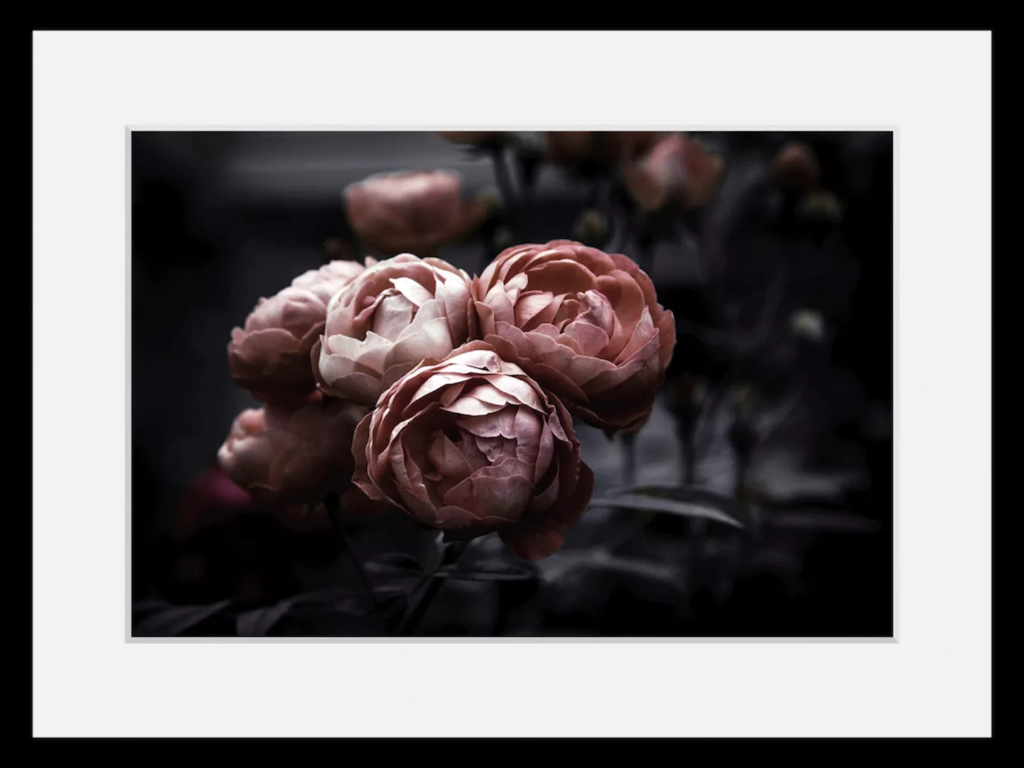 queence Bild »Tabea«, Blumen, (1 St.) günstig online kaufen