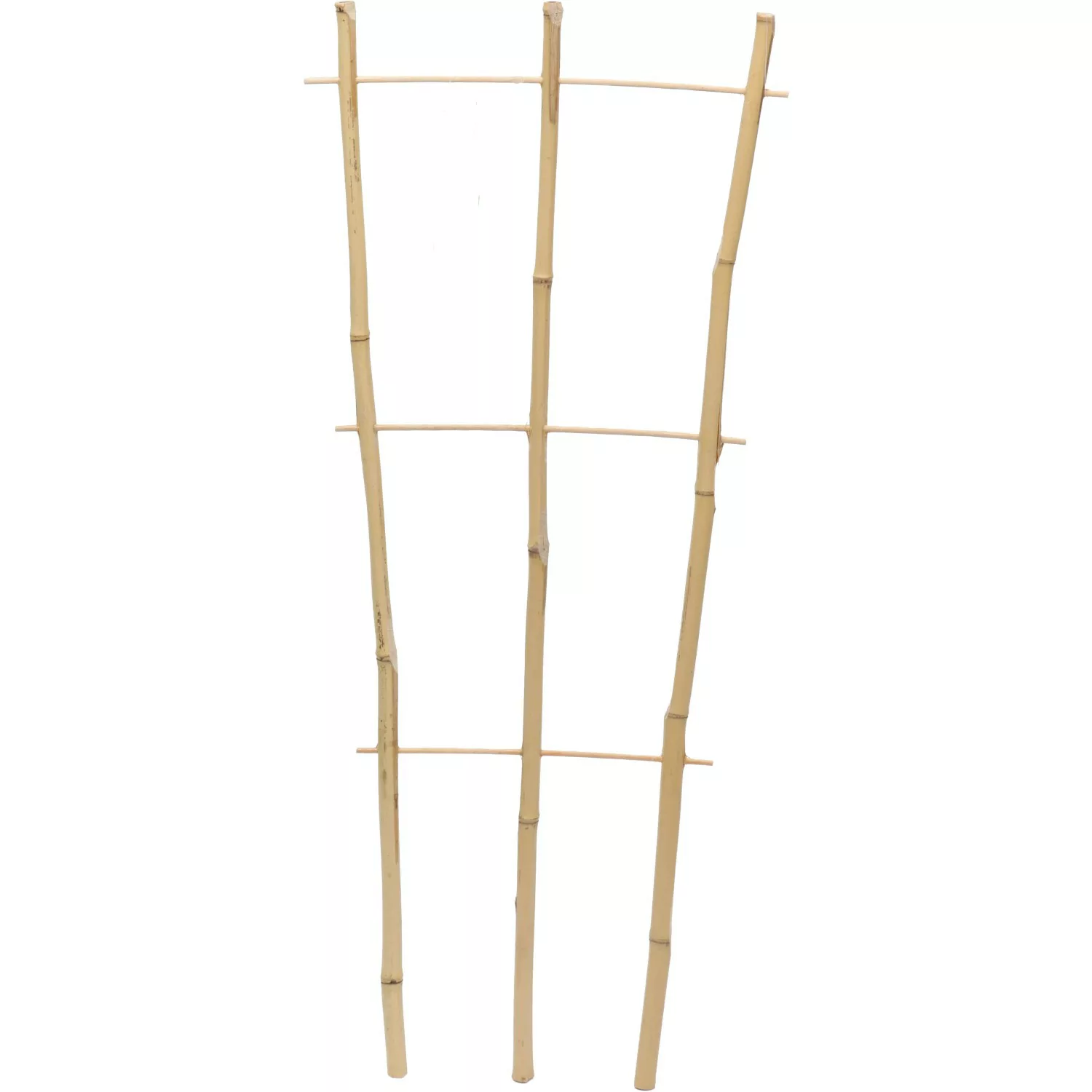 Floraworld Pflanzengitter Classic 160 cm günstig online kaufen