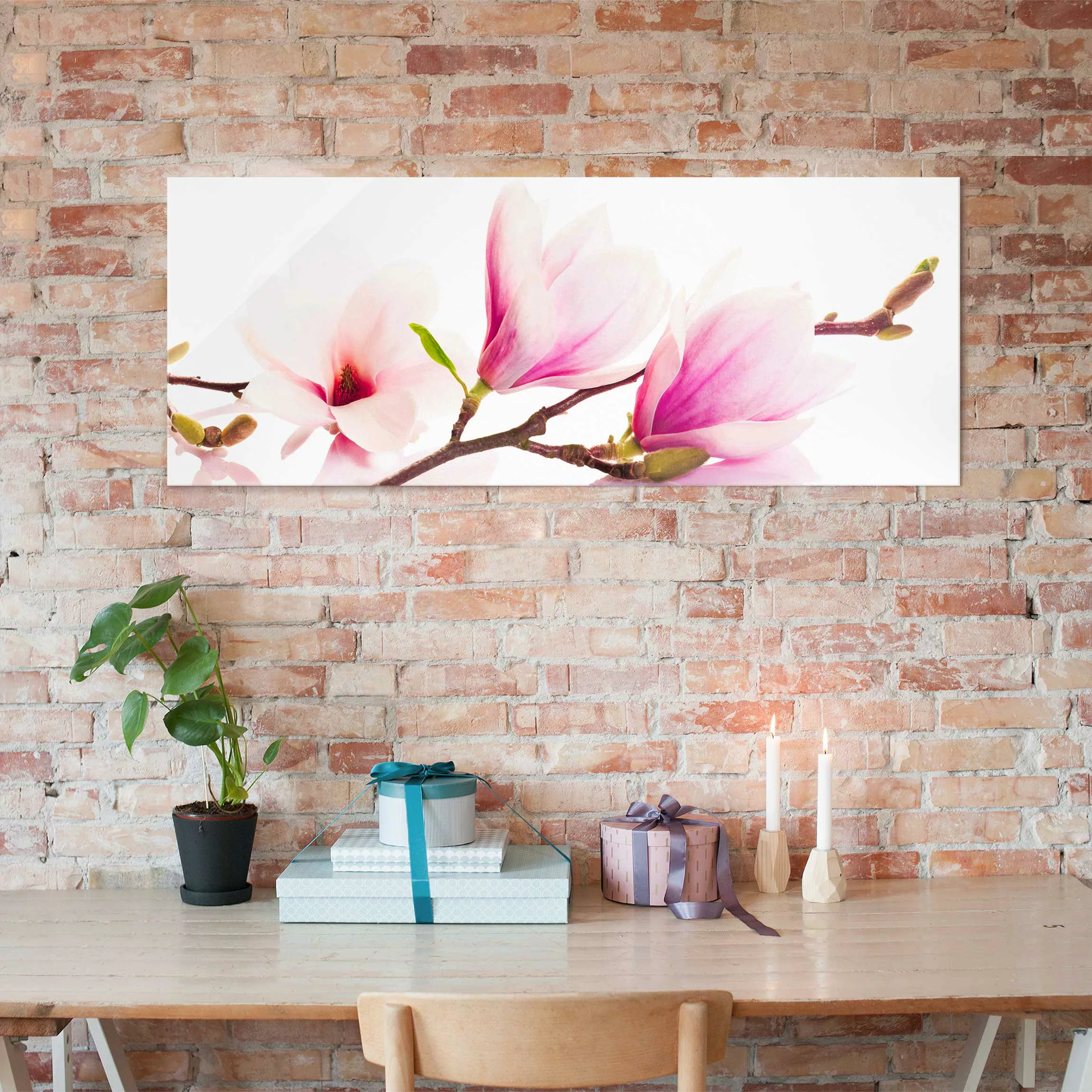 Glasbild Blumen - Panorama Zarter Magnolienzweig günstig online kaufen
