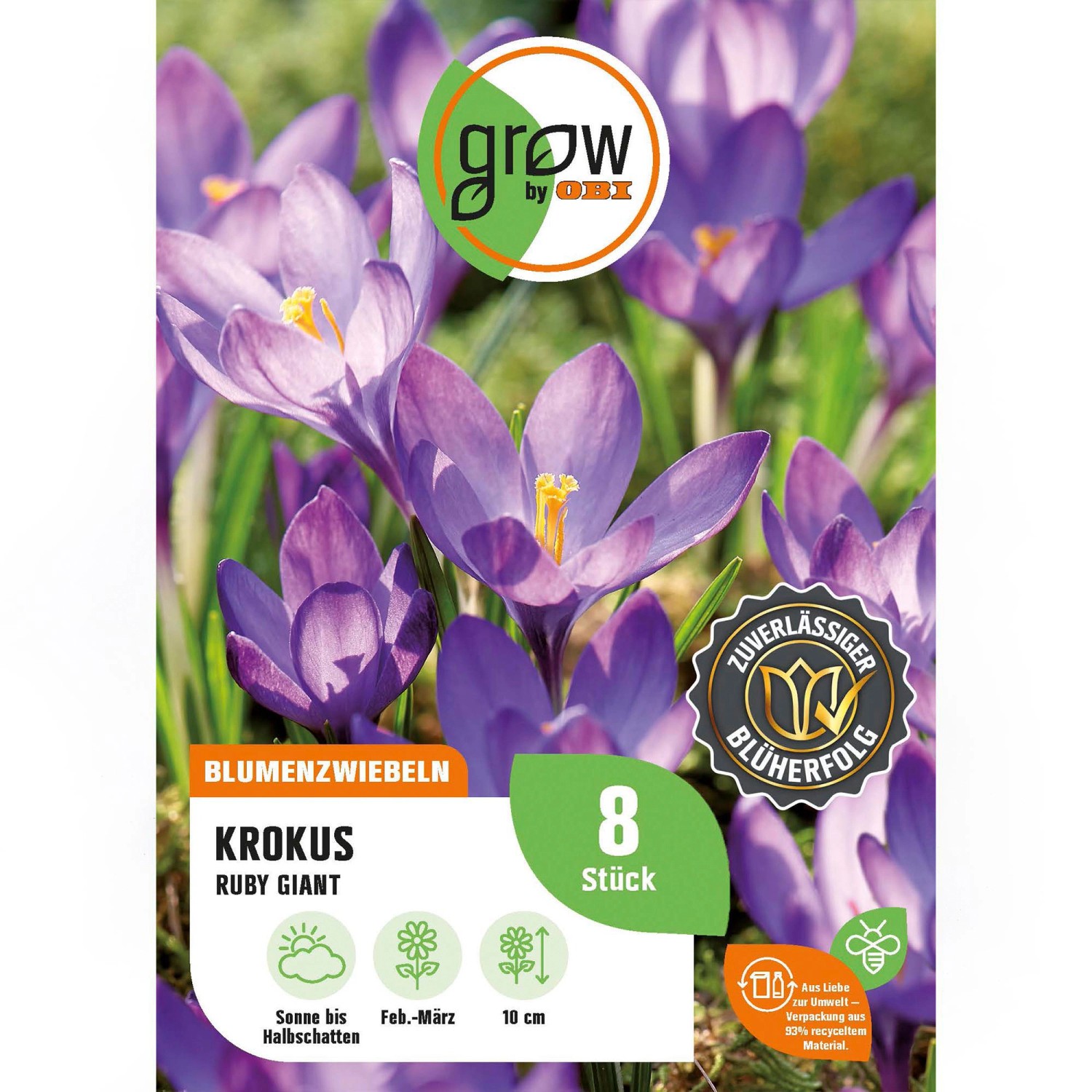 GROW by OBI Krokus Ruby Giant Blau 8 Stück Crocus tommasinianus Ruby Giant günstig online kaufen