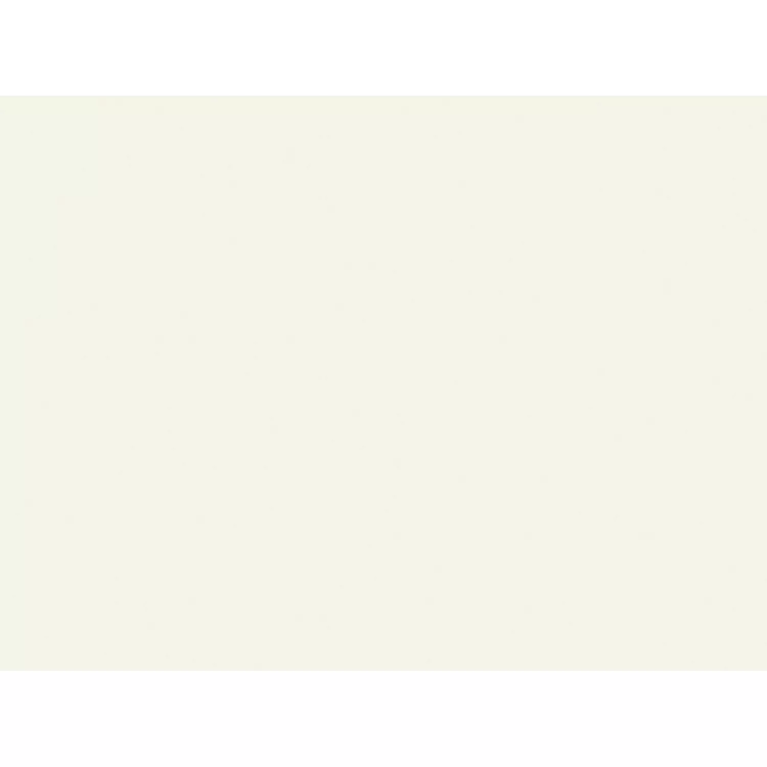 d-c-fix Klebefolie Uni Lack Magnolie 67,5 cm x 200 cm günstig online kaufen