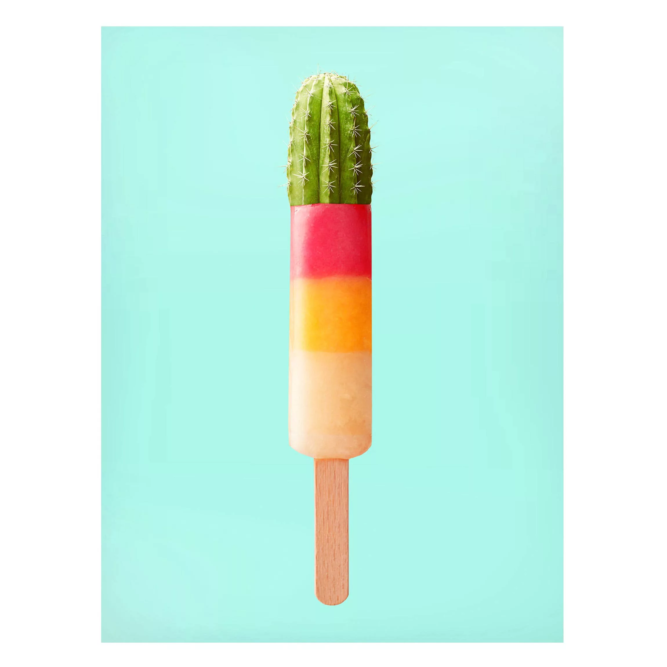 Magnettafel Küche - Hochformat 3:4 Eis mit Kaktus günstig online kaufen