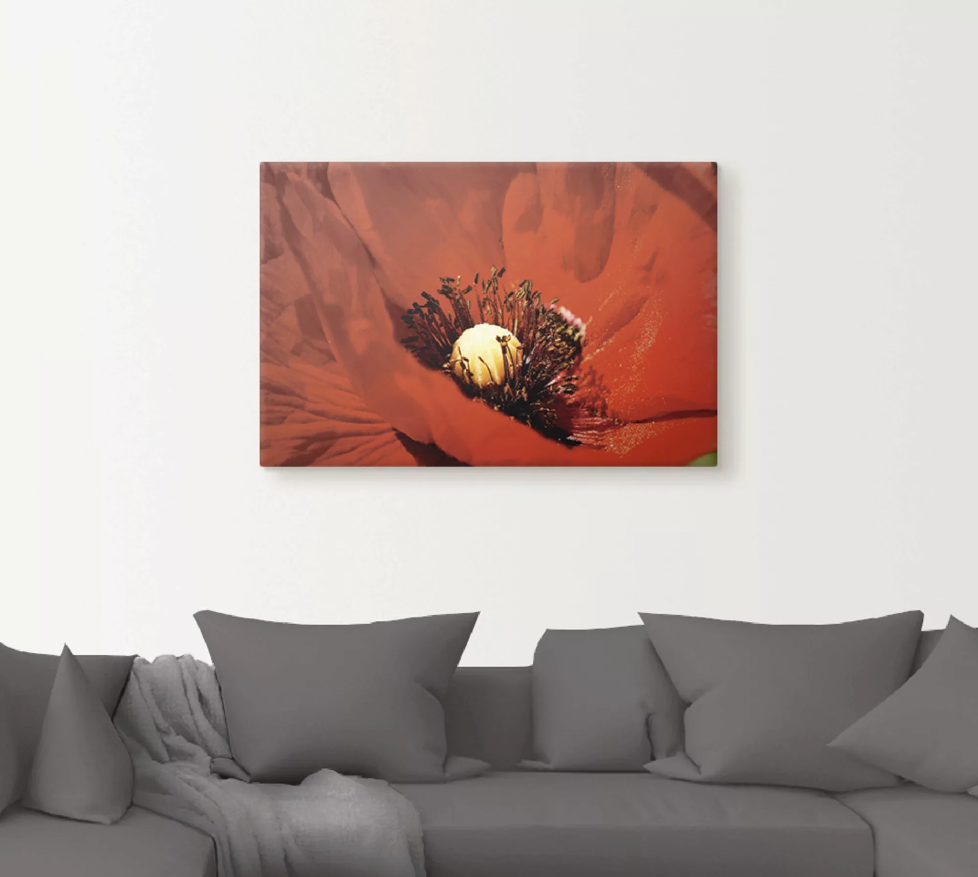 Artland Wandbild »Roter Mohn«, Blumen, (1 St.), als Alubild, Leinwandbild, günstig online kaufen