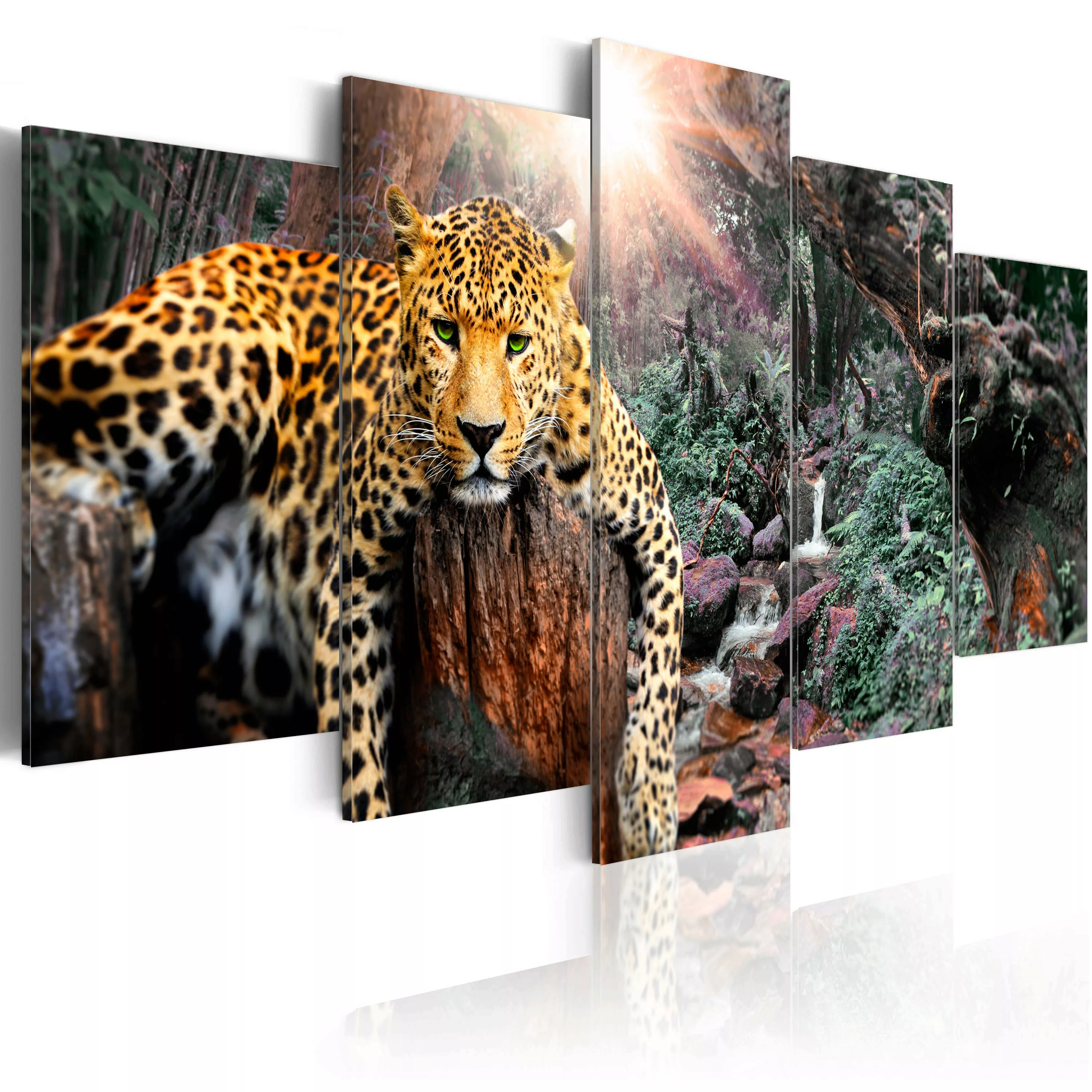 Wandbild - Leopard Relaxation günstig online kaufen