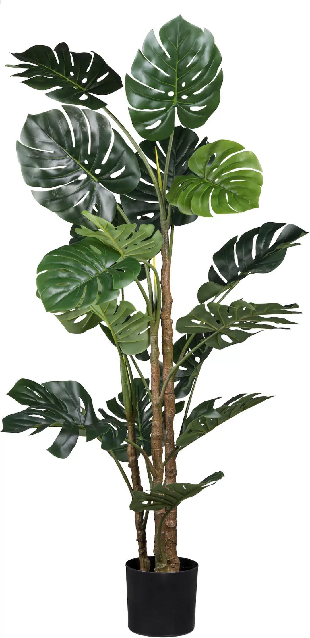 Creativ green Künstliche Zimmerpflanze »Splitphilodendron«, mit detailgetre günstig online kaufen