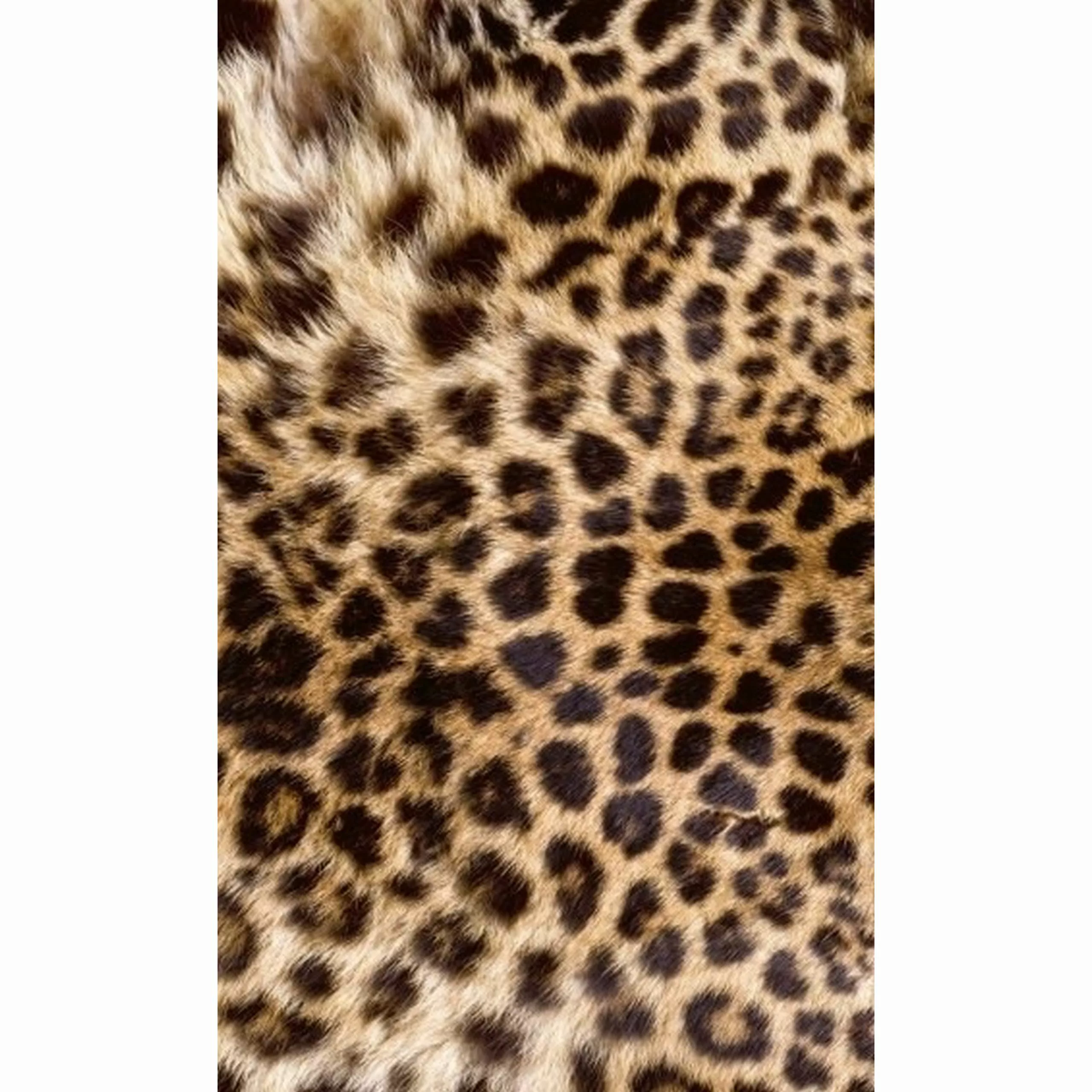 Fototapete LEOPARD SKIN | MS-2-0184 | Braun | Digitaldruck auf Vliesträger günstig online kaufen