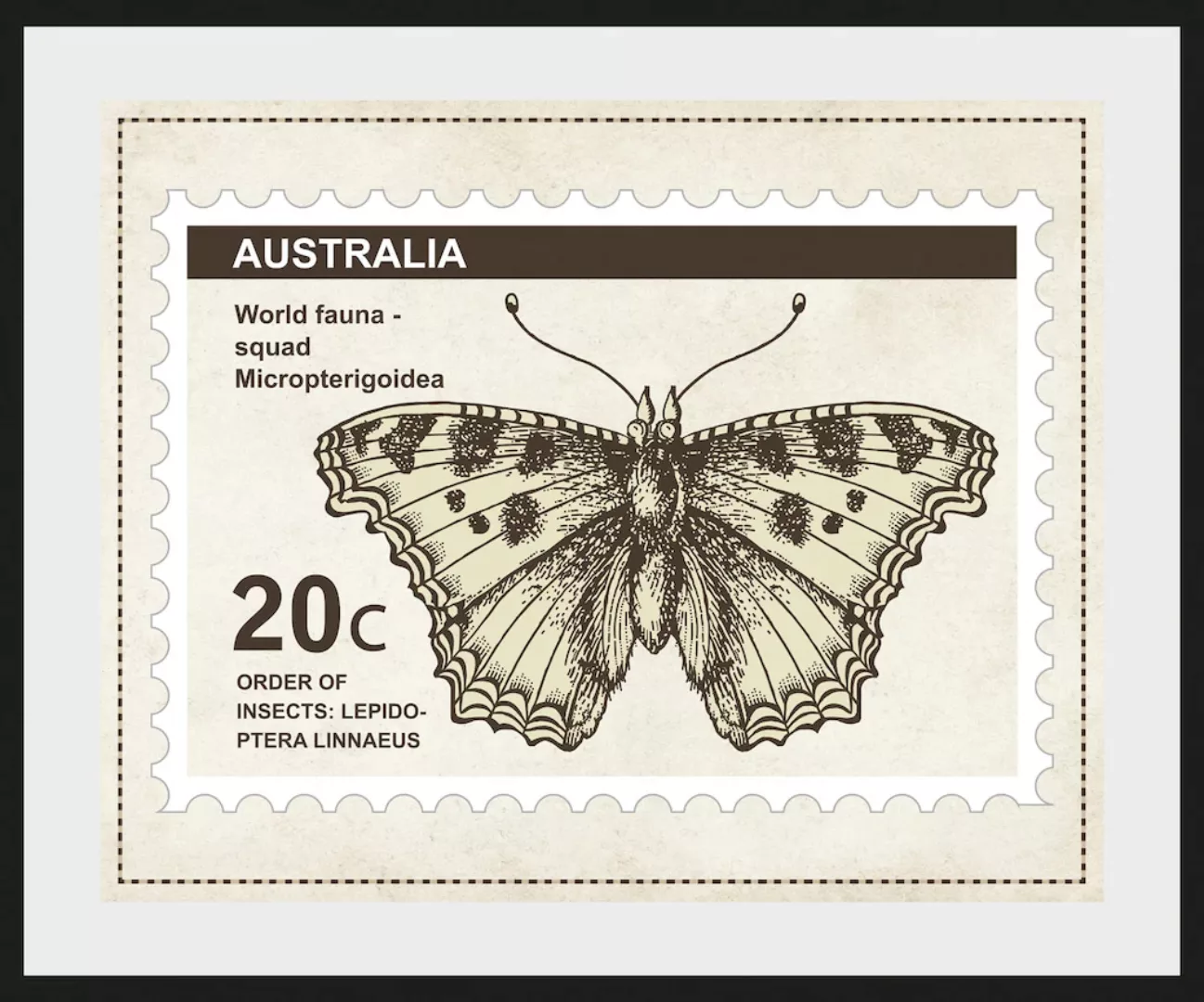 queence Bild "20c", Schmetterlinge, (1 St.) günstig online kaufen