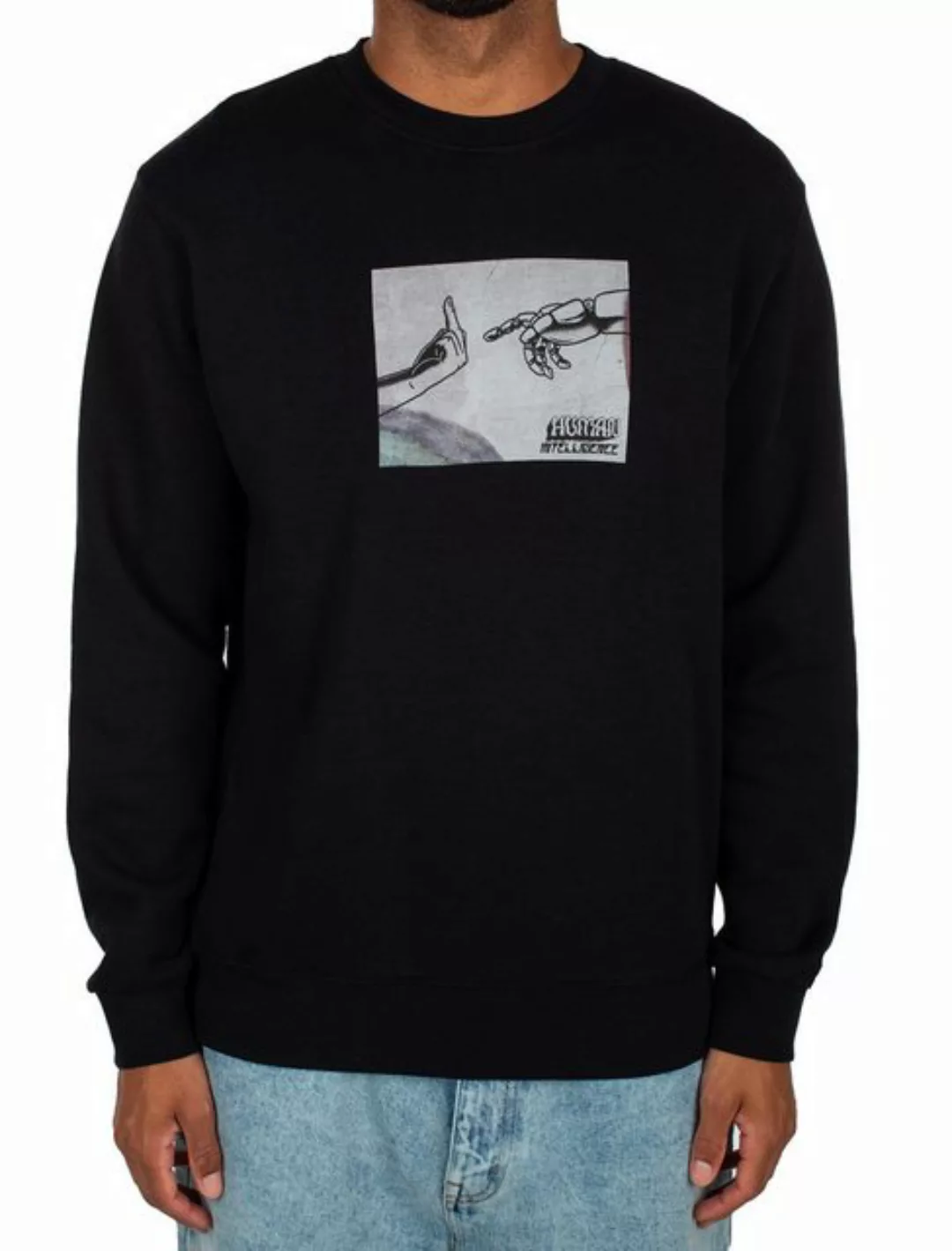 iriedaily Sweater Sweatpulli Iriedaily H.I. Crewneck günstig online kaufen