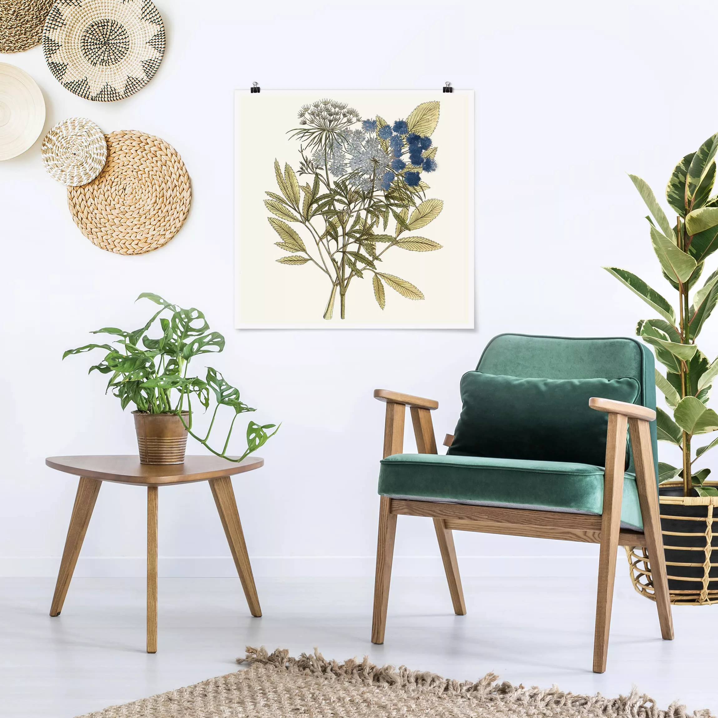 Poster Blumen - Quadrat Wildkräuter Schautfalel I günstig online kaufen