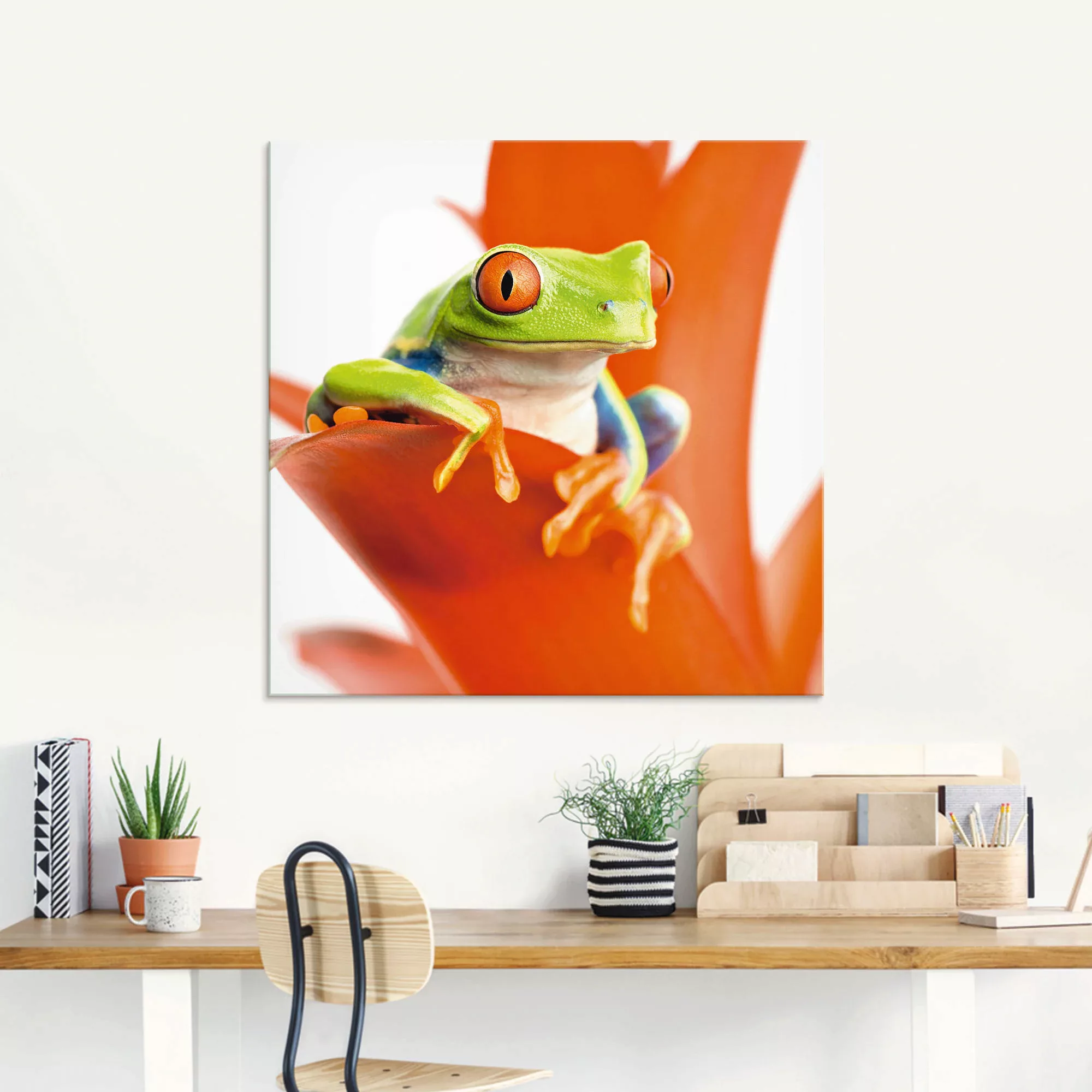 Artland Glasbild "Frosch auf seinem Thron", Wassertiere, (1 St.), in versch günstig online kaufen