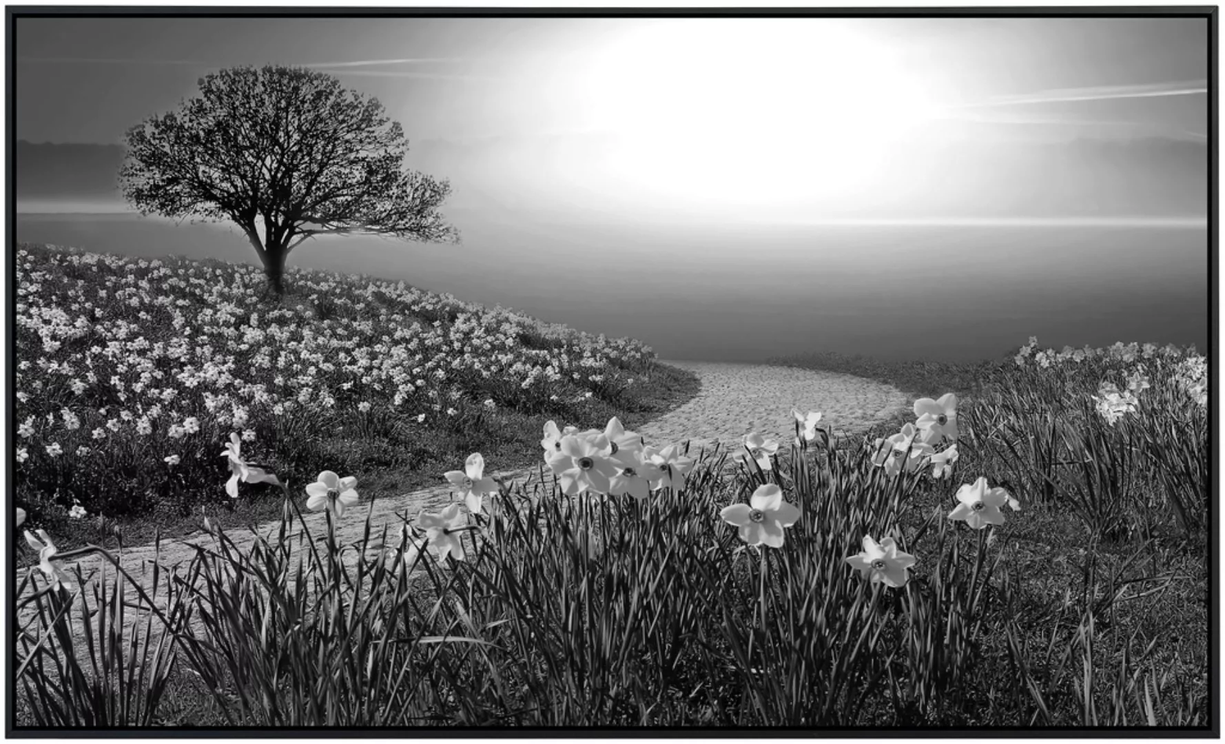 Papermoon Infrarotheizung »Landschaft schwarz & weiß« günstig online kaufen