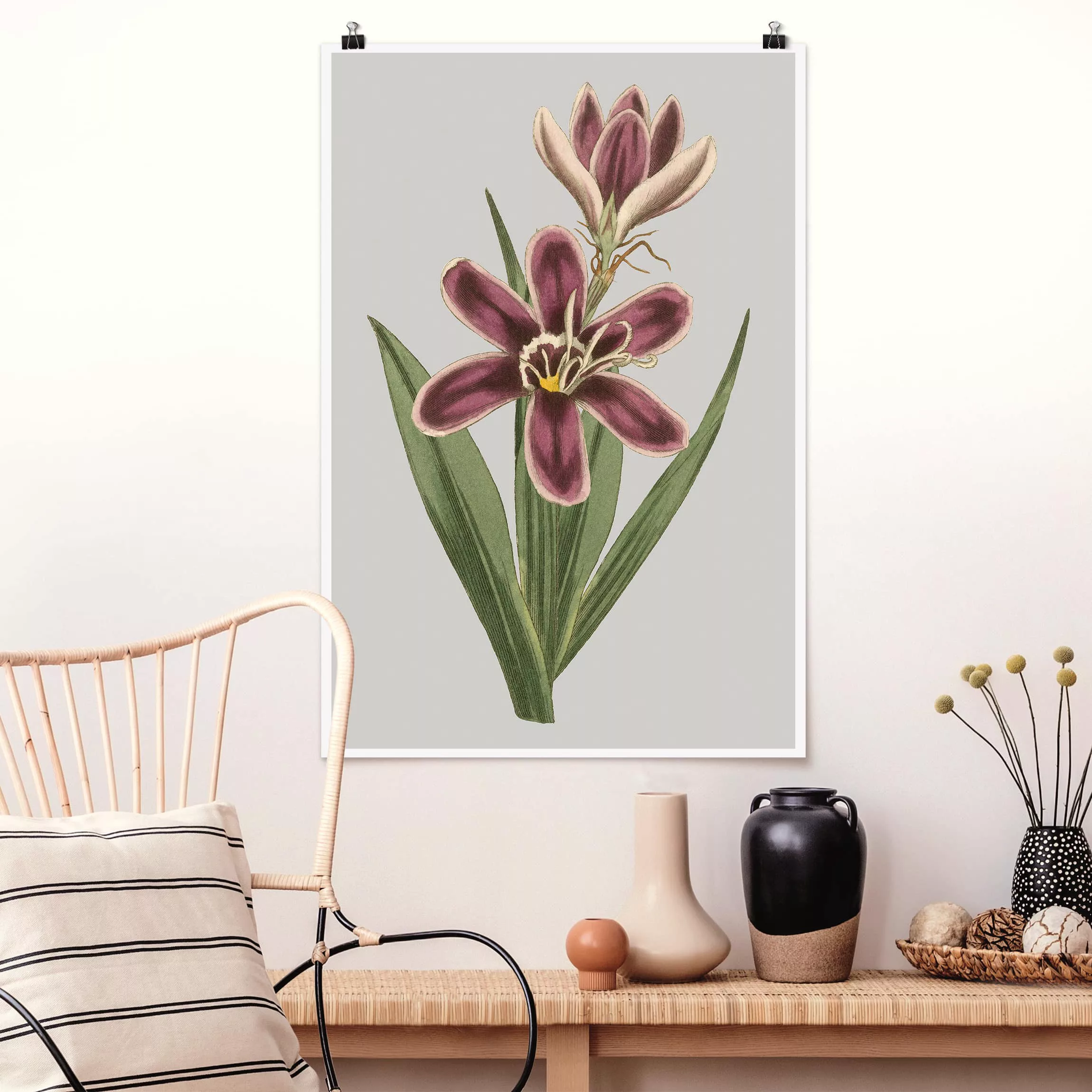 Poster Blumen - Hochformat Florale Schmuckstücke II günstig online kaufen