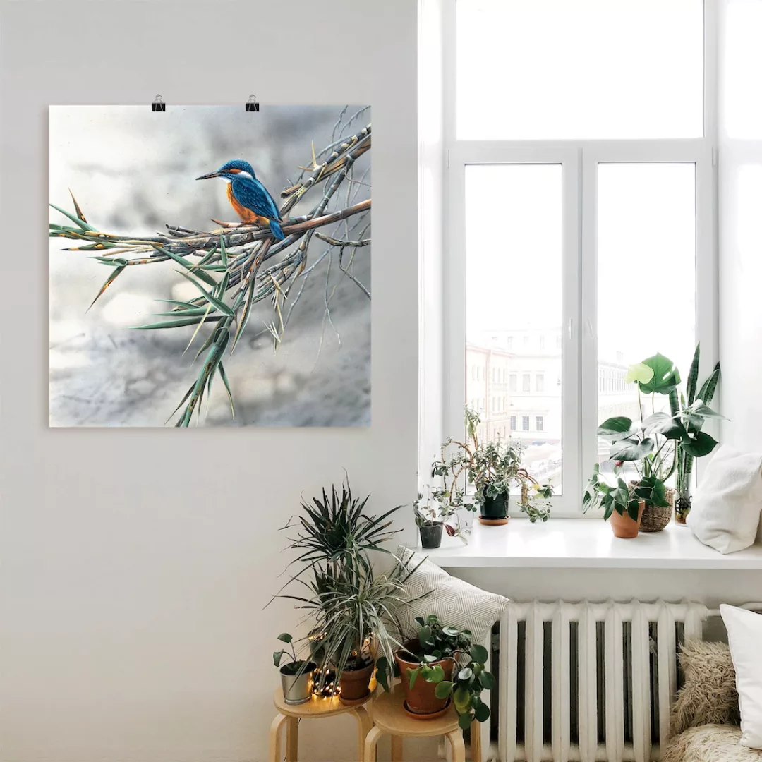 Artland Wandbild "Eisvogel I", Vögel, (1 St.) günstig online kaufen