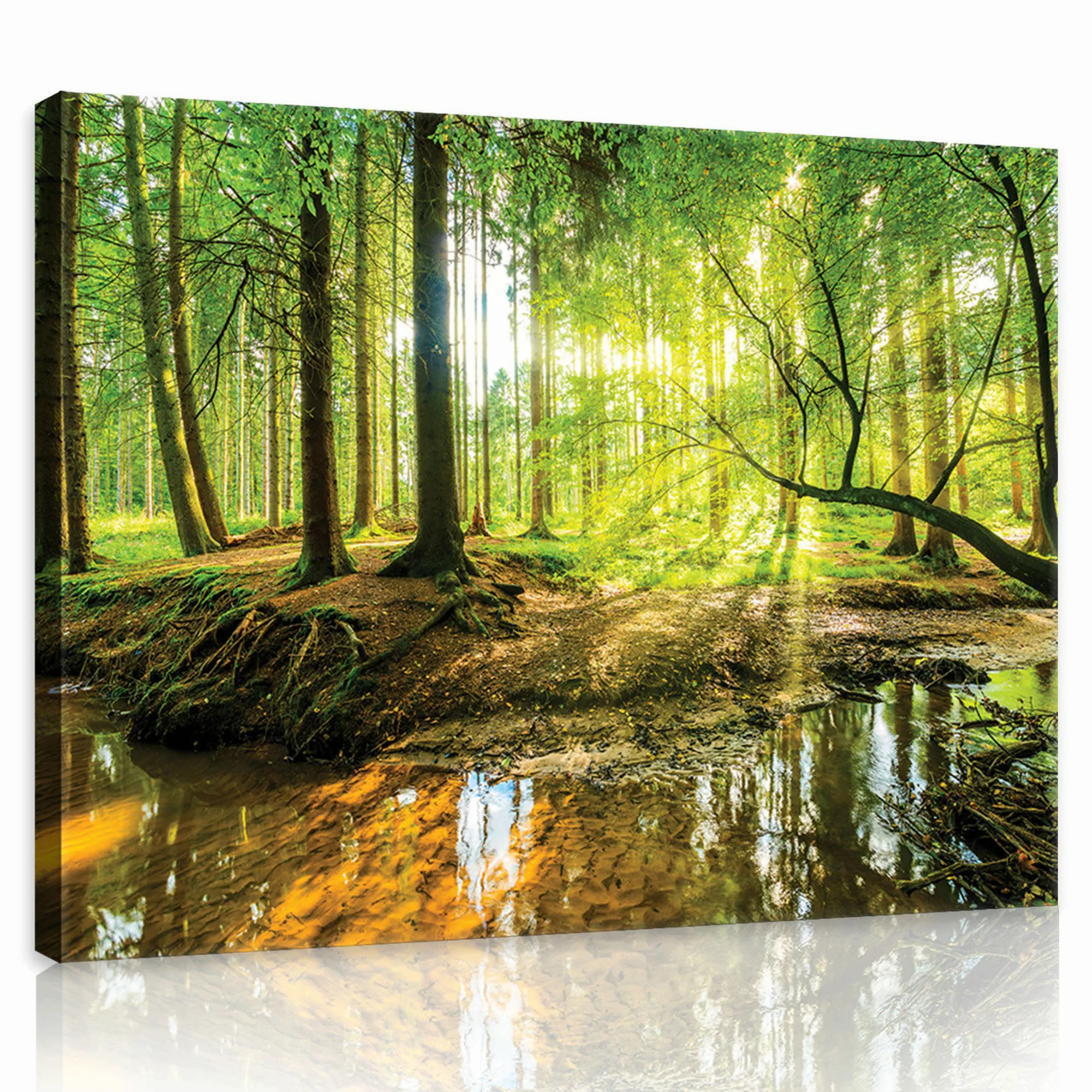 Wallarena Leinwandbild Wald Sonne Natur Grün günstig online kaufen