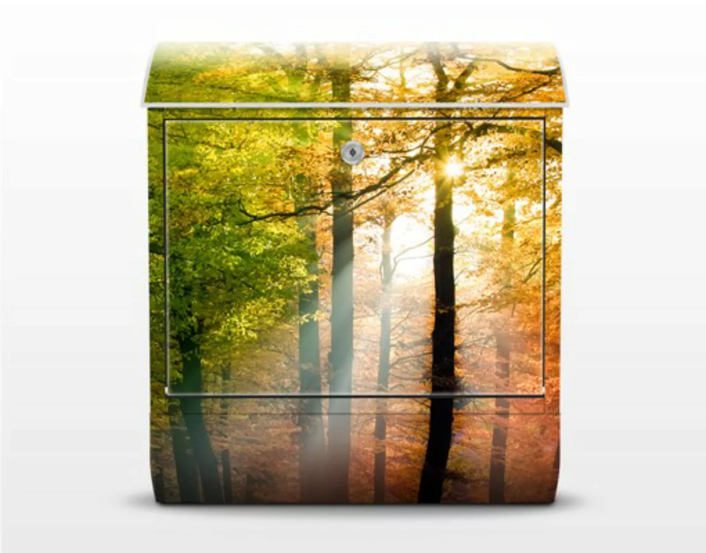 Briefkasten Natur & Landschaft Morning Light günstig online kaufen