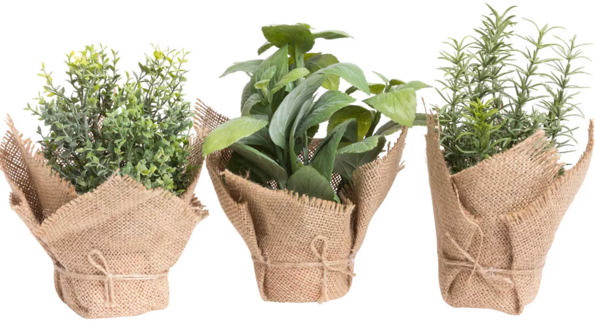 Botanic-Haus Künstliche Zimmerpflanze "Kräuter" günstig online kaufen