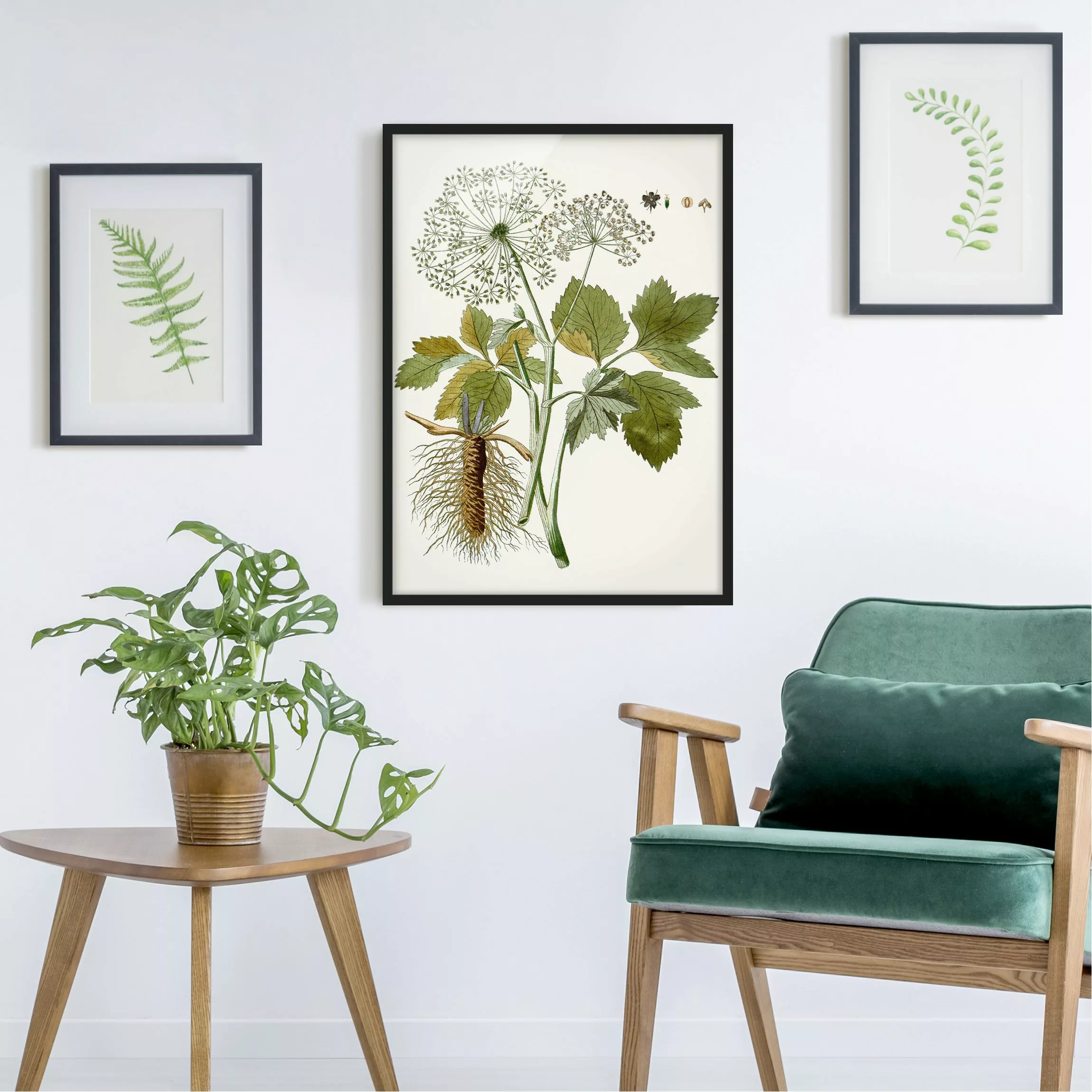 Bild mit Rahmen Blumen - Hochformat Wildkräuter Schautafel IV günstig online kaufen