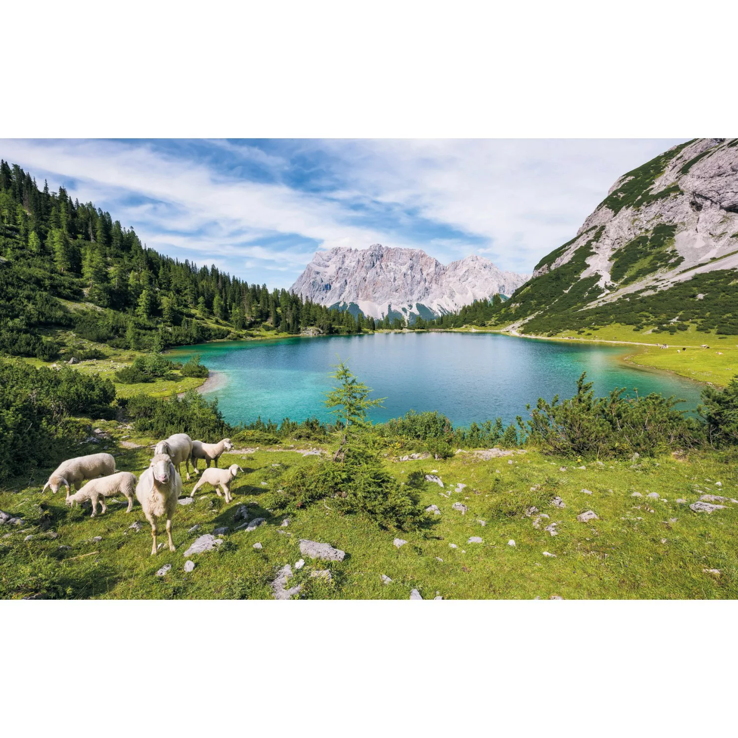 Komar Vliestapete »Paradise Lake«, 400x250 cm (Breite x Höhe), Vliestapete, günstig online kaufen