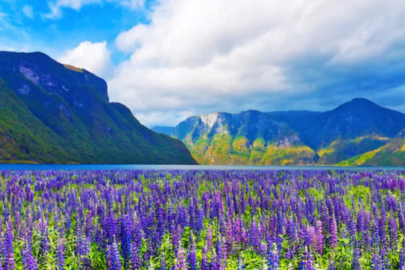 Papermoon Fototapete »FJORD-NORWEGEN GEBIRGE BLUMEN SONNE WALD FLUSS BÄUME« günstig online kaufen