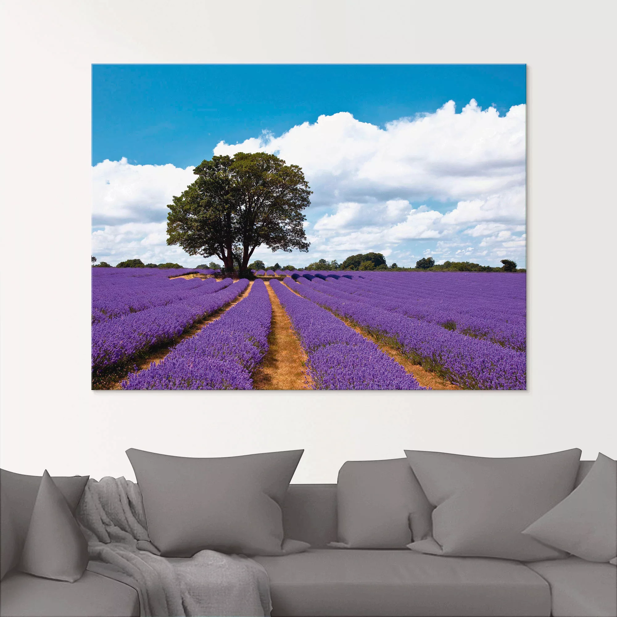 Artland Glasbild "Schönes Lavendelfeld im Sommer", Felder, (1 St.) günstig online kaufen