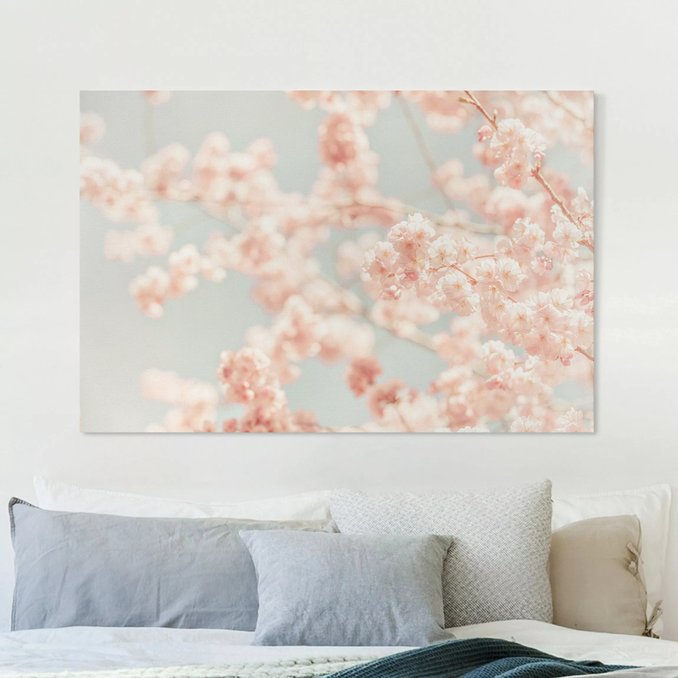 Leinwandbild Kirschblüten Glow günstig online kaufen